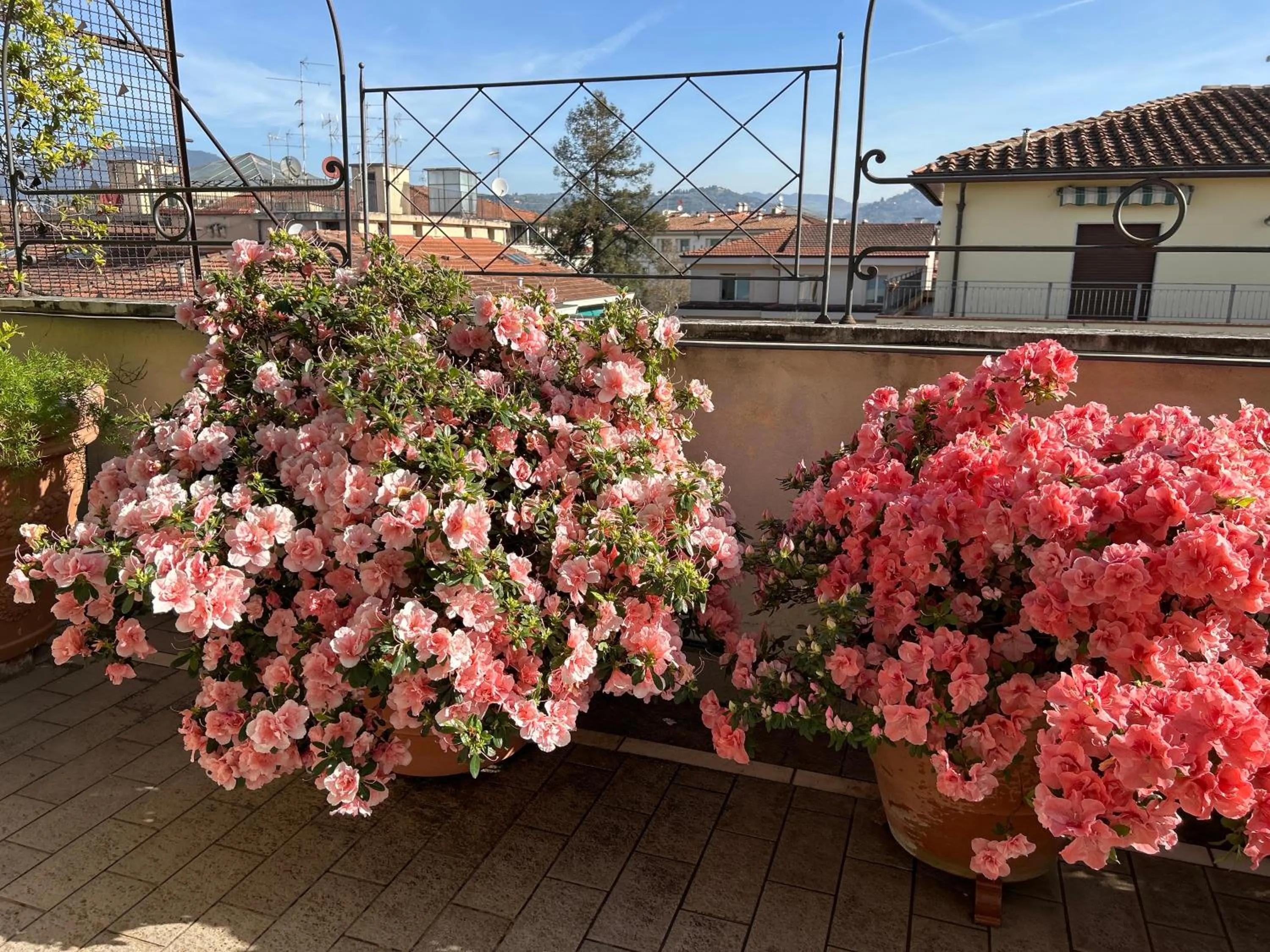 Balcony/Terrace in Cherubini Florence Residence