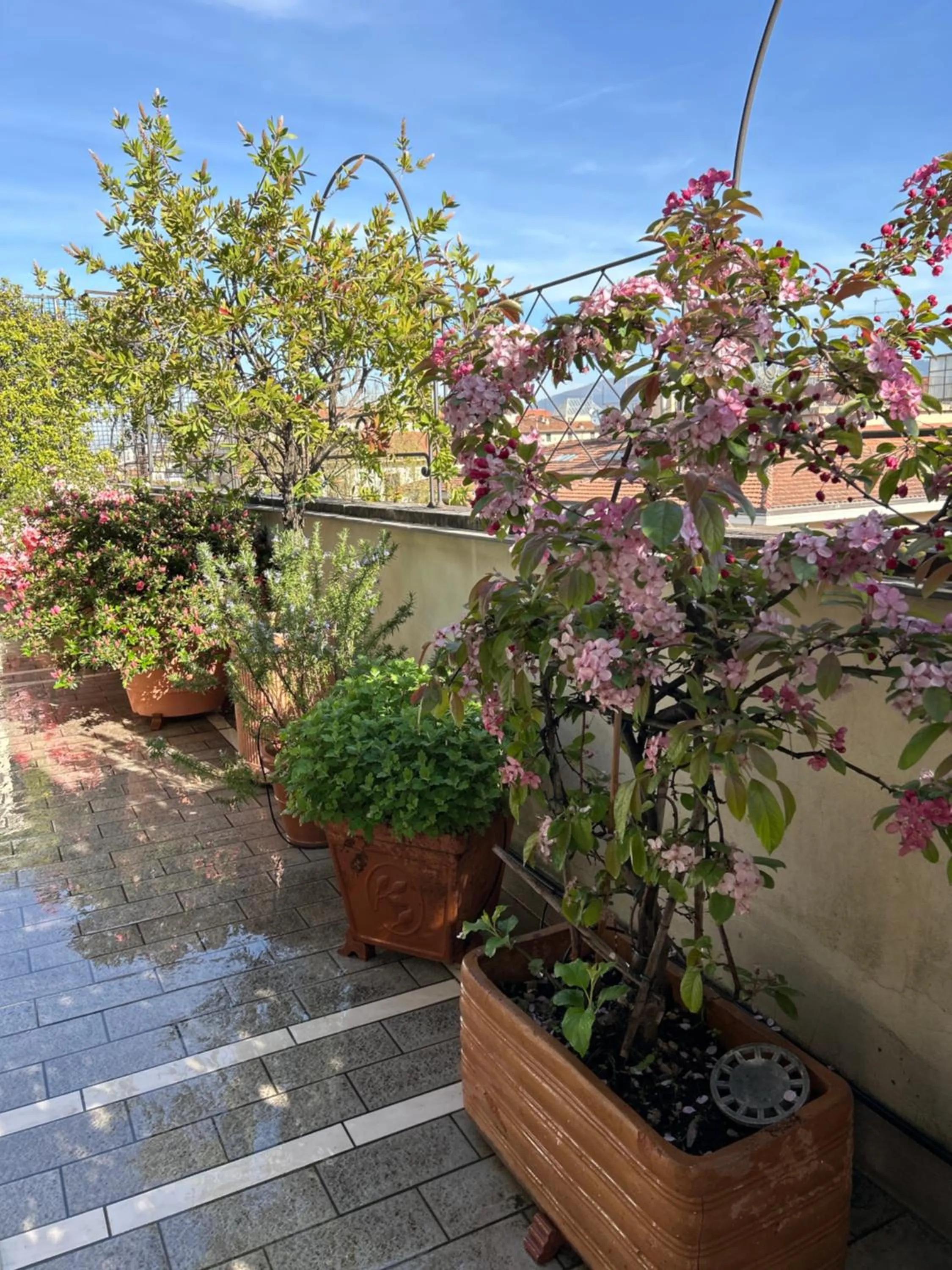 Spring in Cherubini Florence Residence