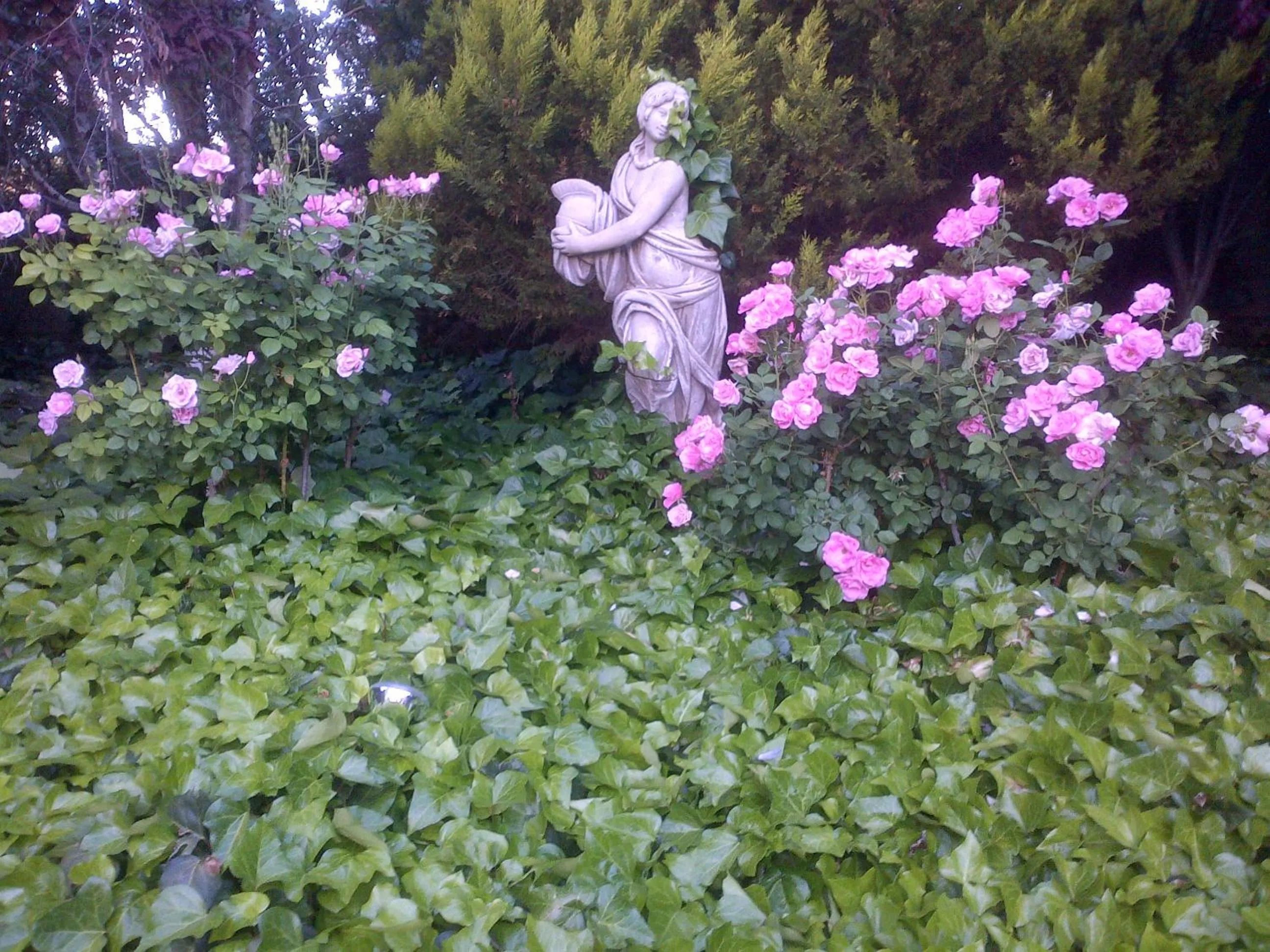 View (from property/room) in Giardino a 194