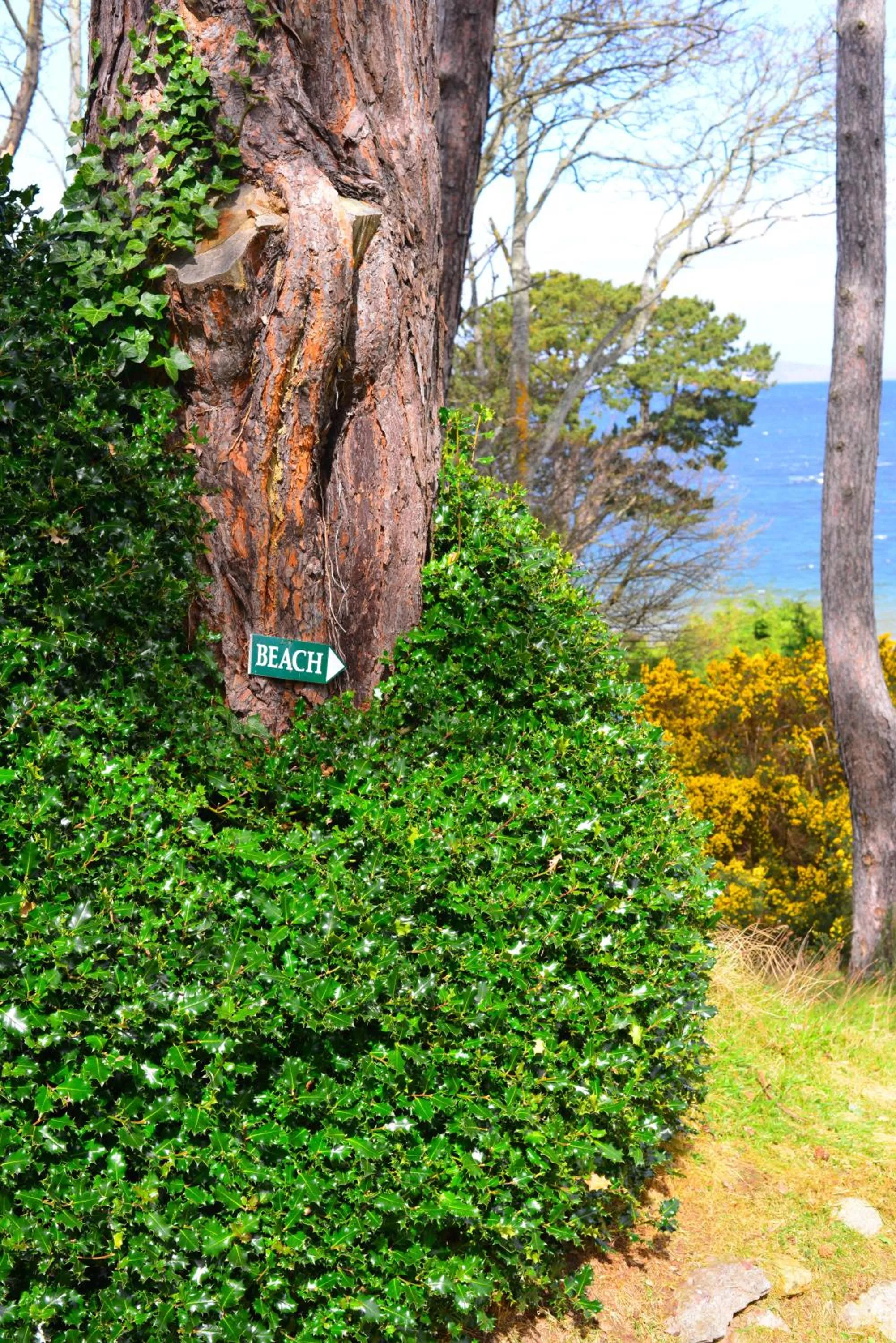 Garden in Invernairne