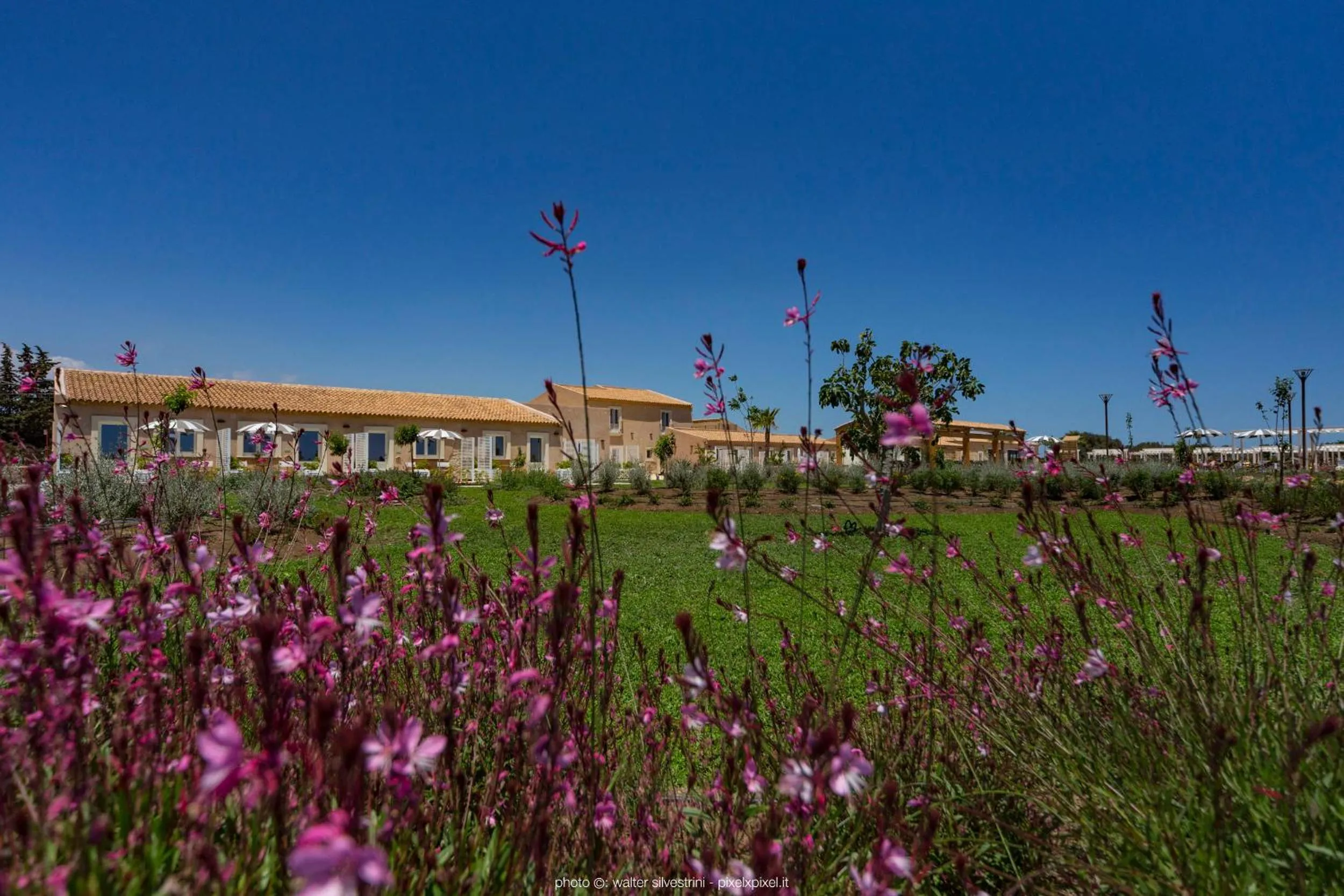 Garden in Hotel Casale Milocca