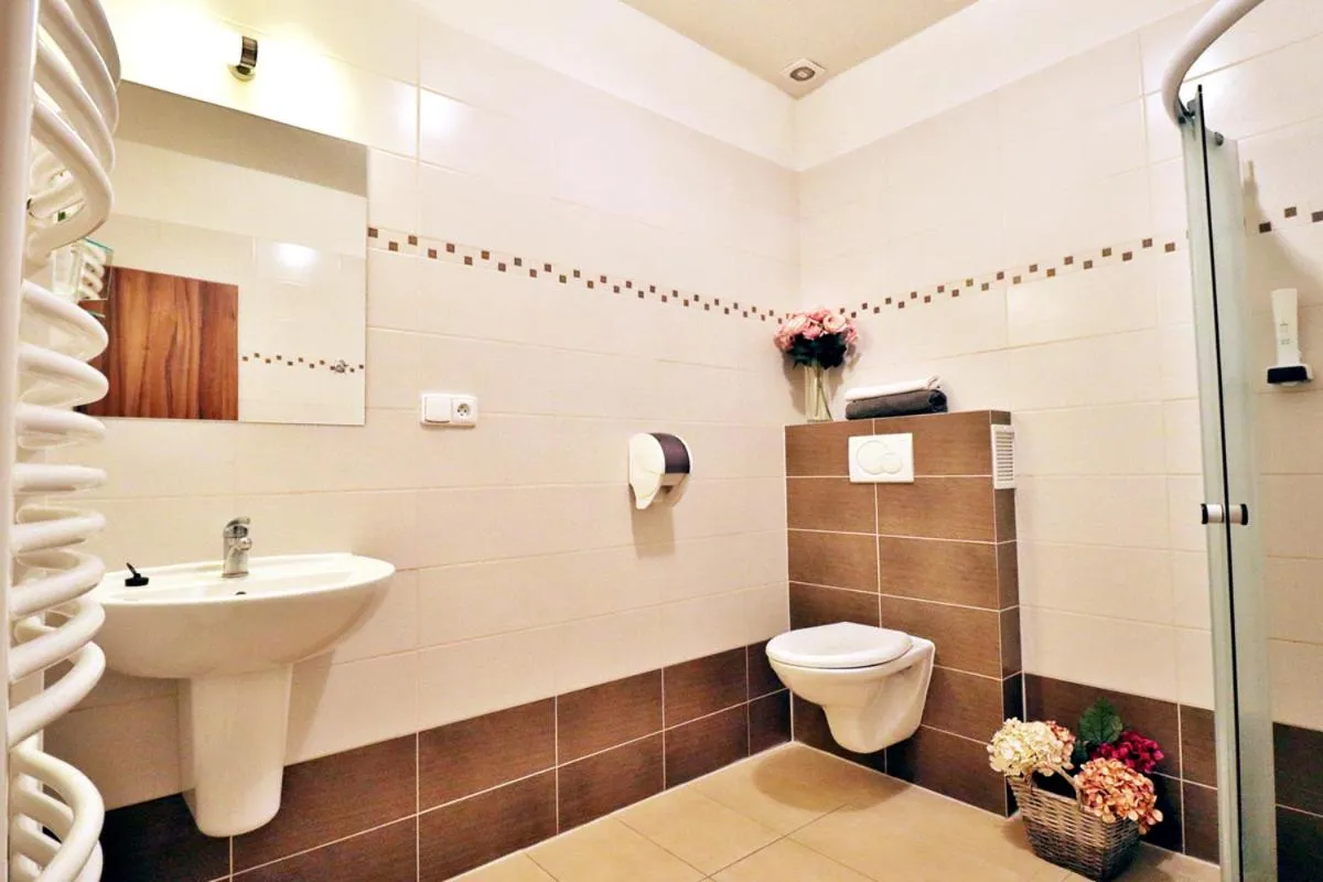 Double Room with Terrace - single occupancy in Bezměrovský dvůr Kroměříž