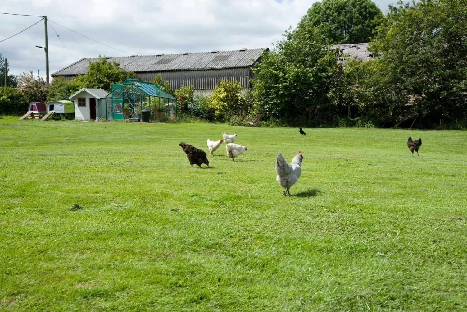 Garden in Padley Farm