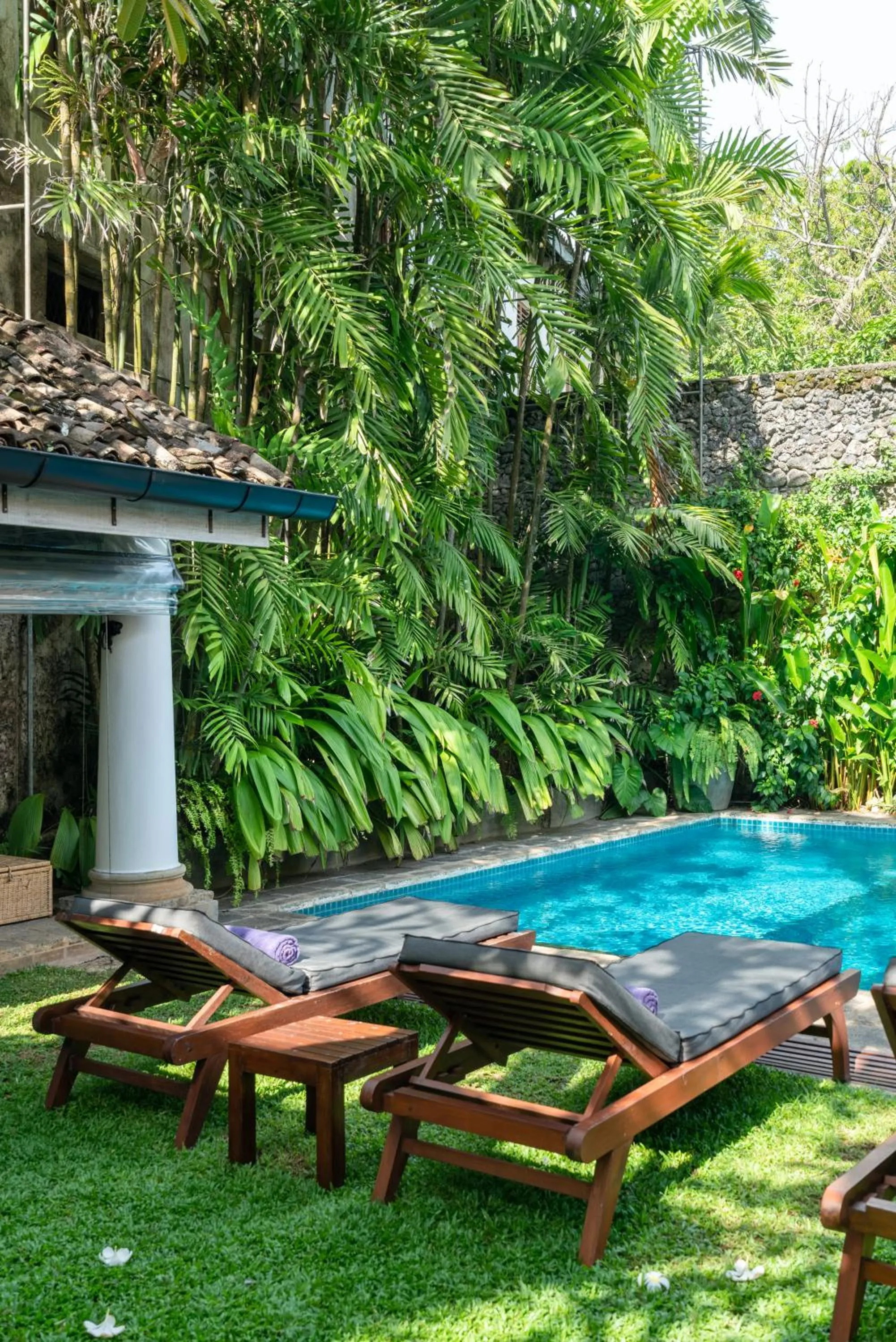 Garden in Taru Villas Rampart Street - Galle Fort