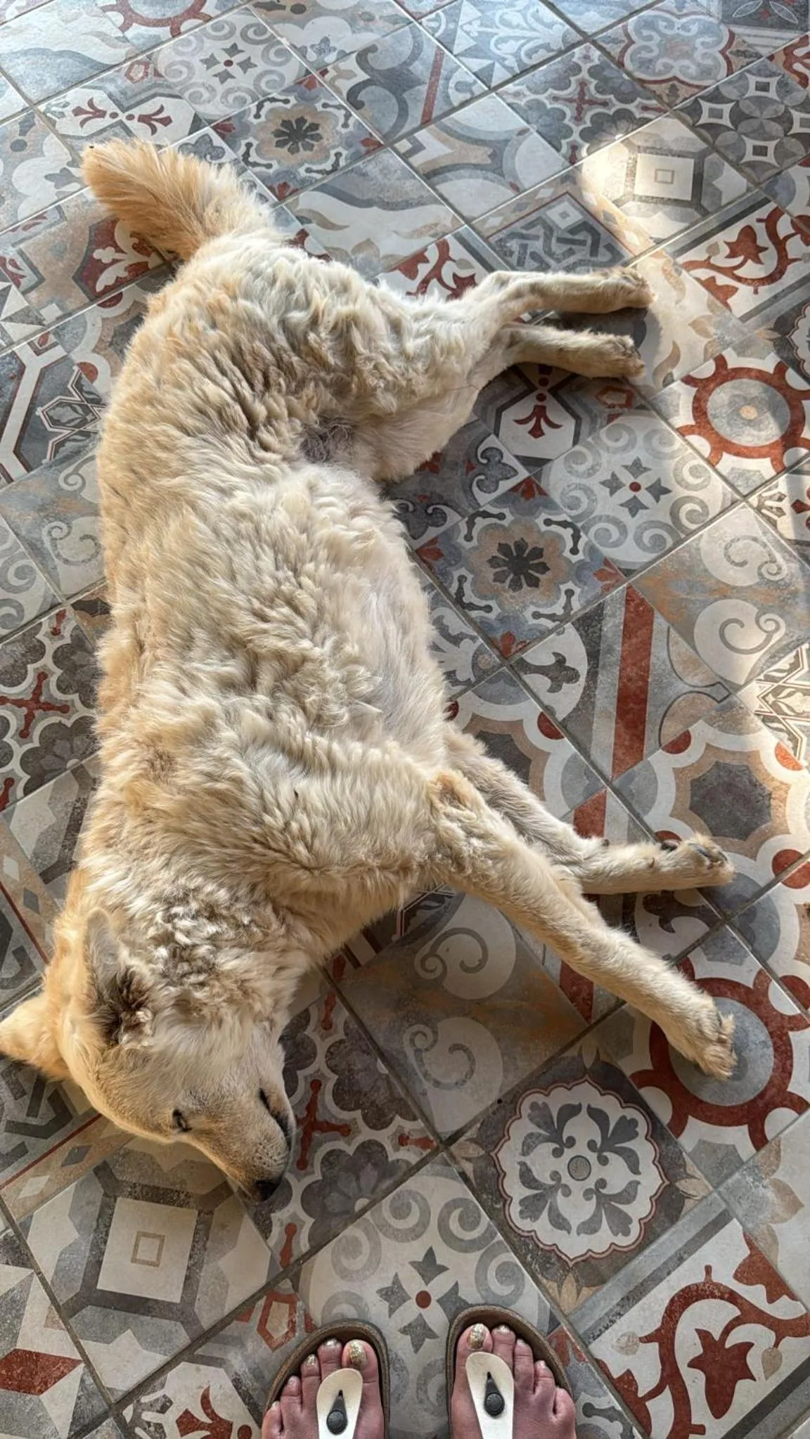 Cozzo Spadaro B&B OnlyRooms