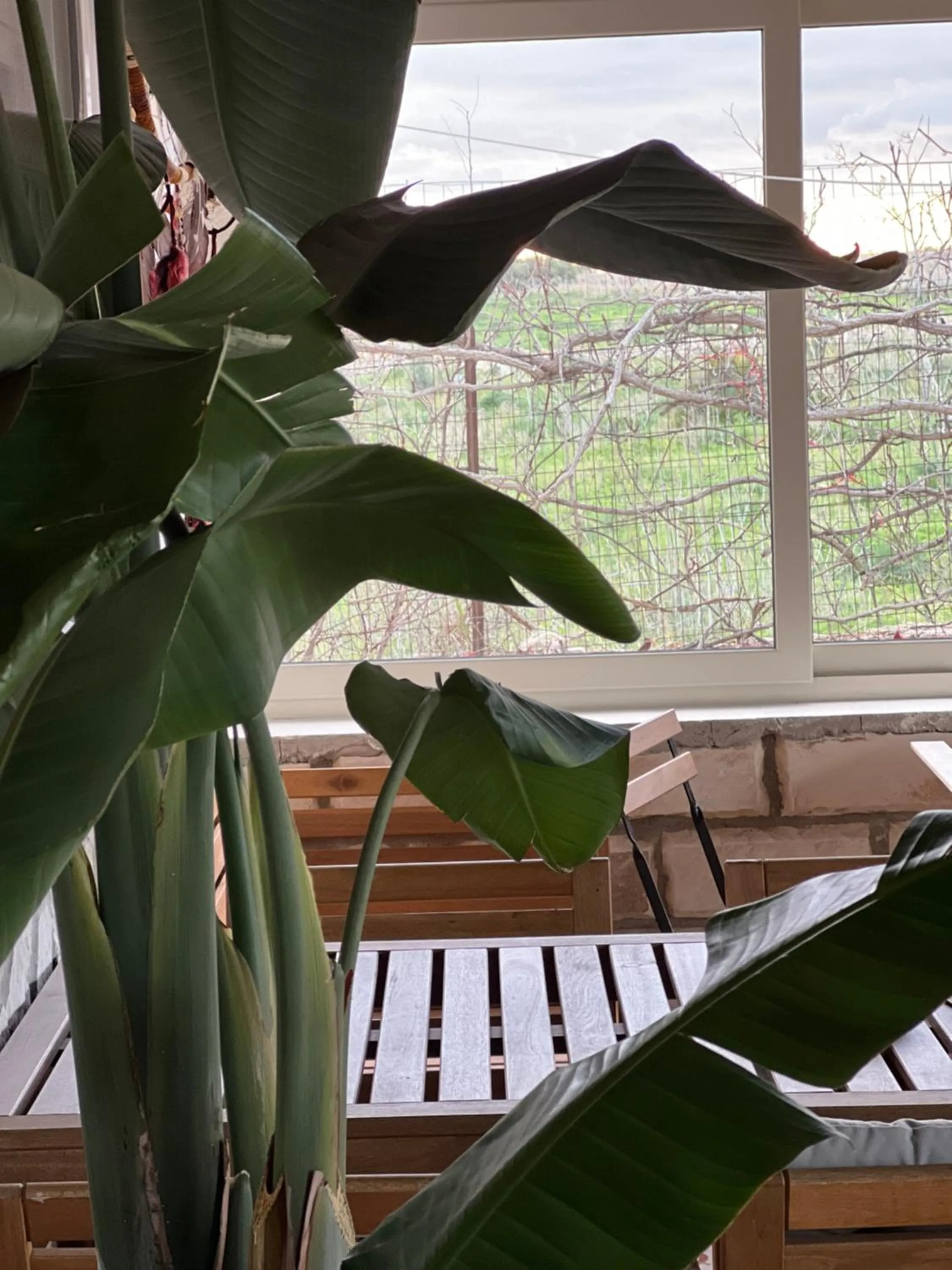 Balcony/Terrace in Cozzo Spadaro B&B OnlyRooms