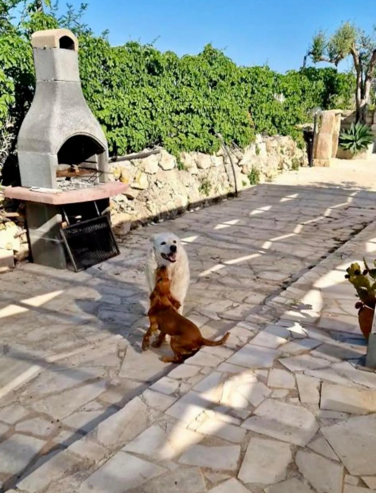 BBQ facilities in Cozzo Spadaro B&B OnlyRooms