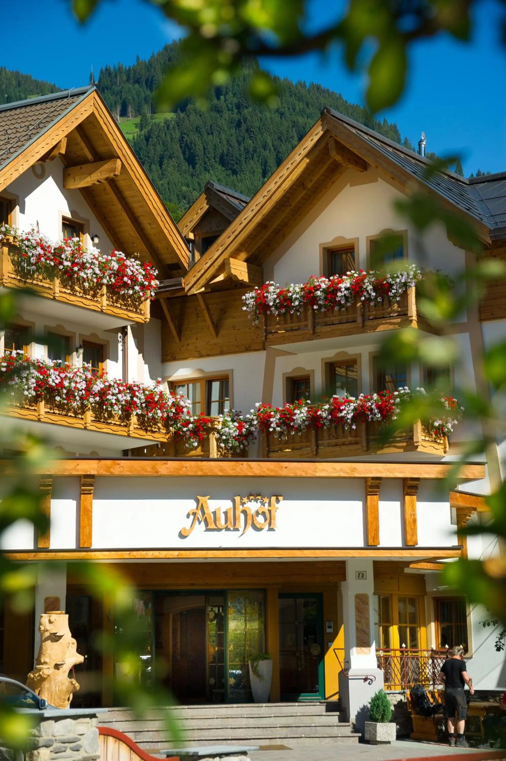 Facade/entrance in Hotel Auhof