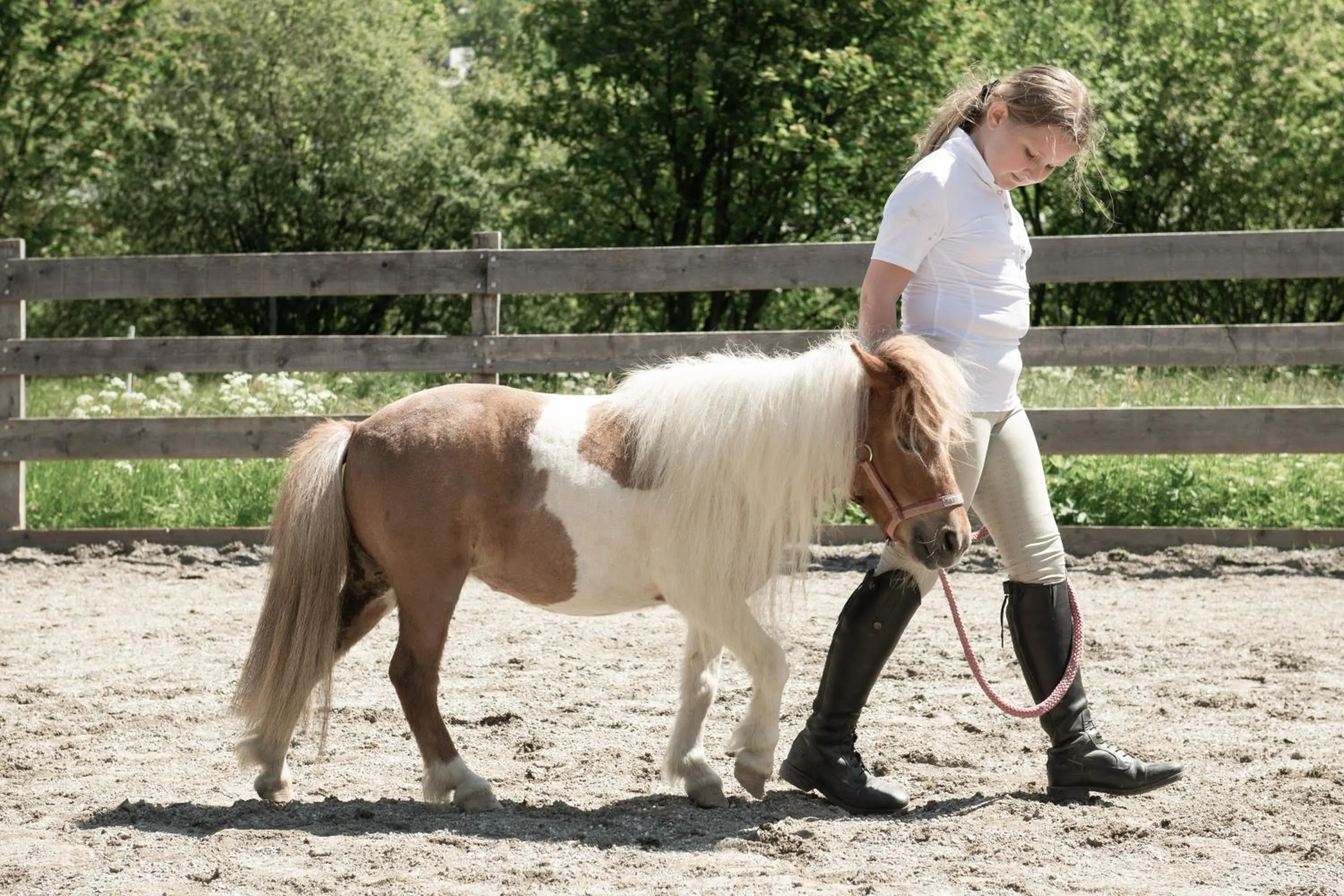 Horse-riding in Hotel Auhof