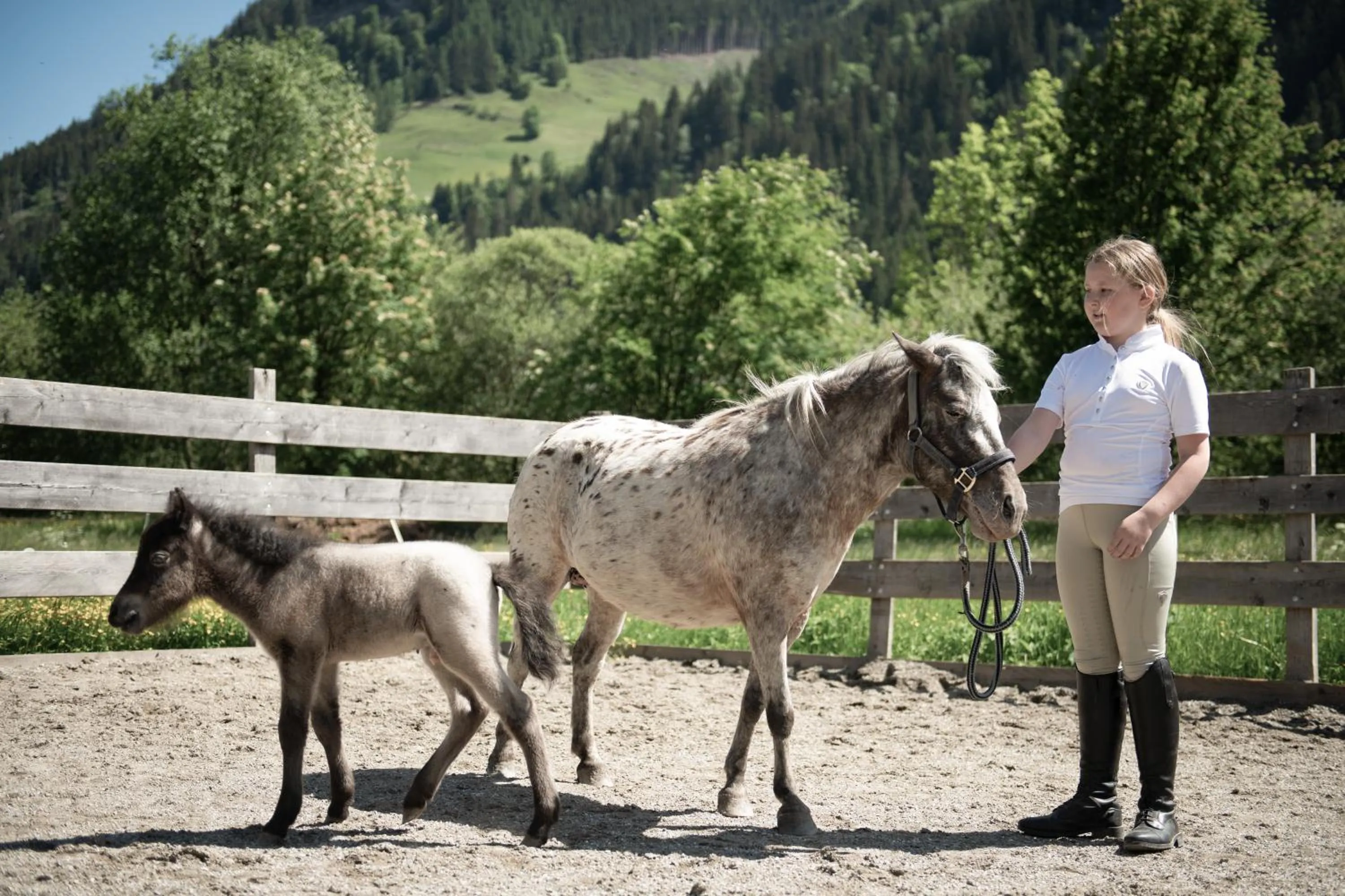 Horse-riding in Hotel Auhof