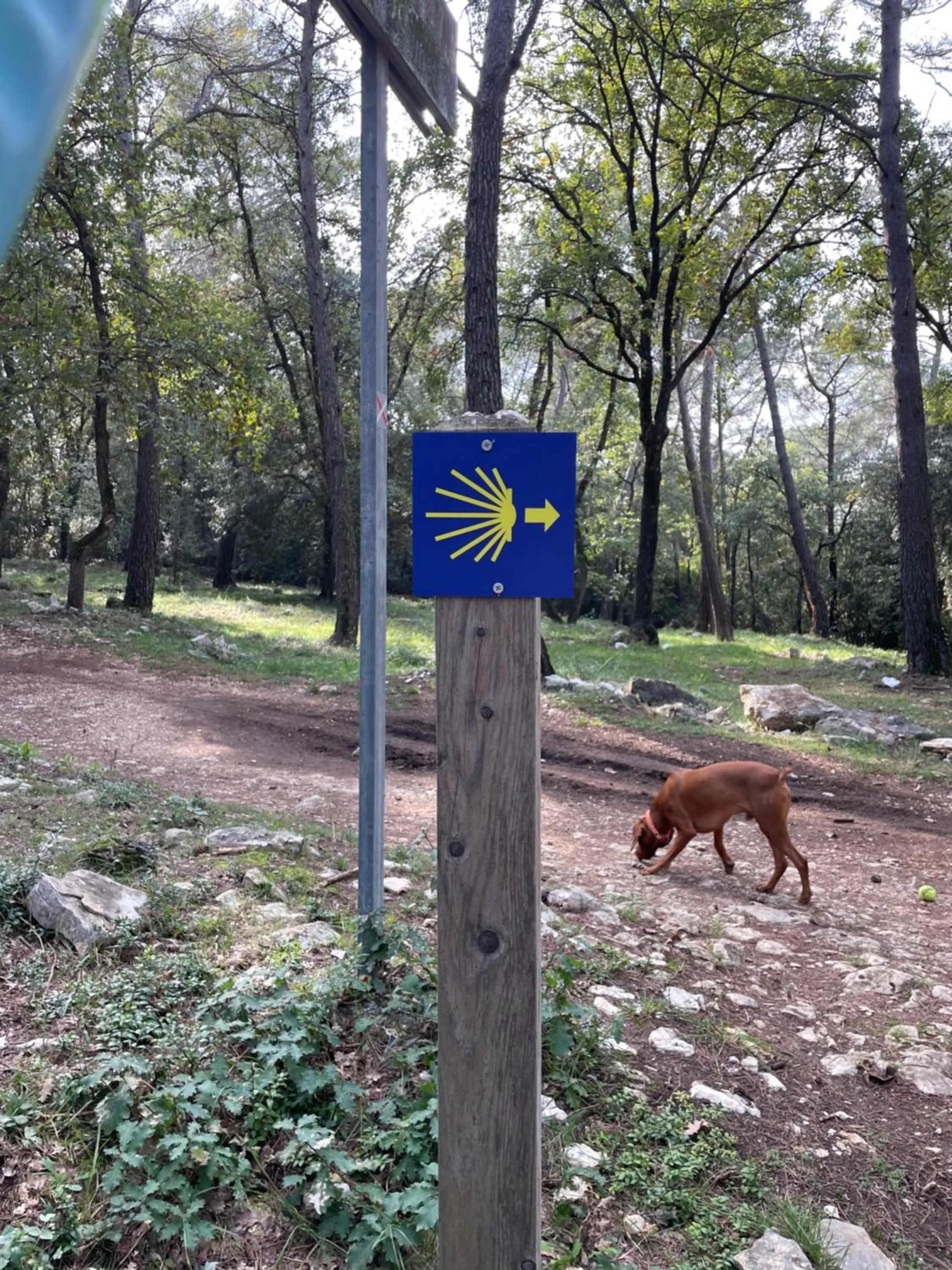 Sports in Au Pied des Baous