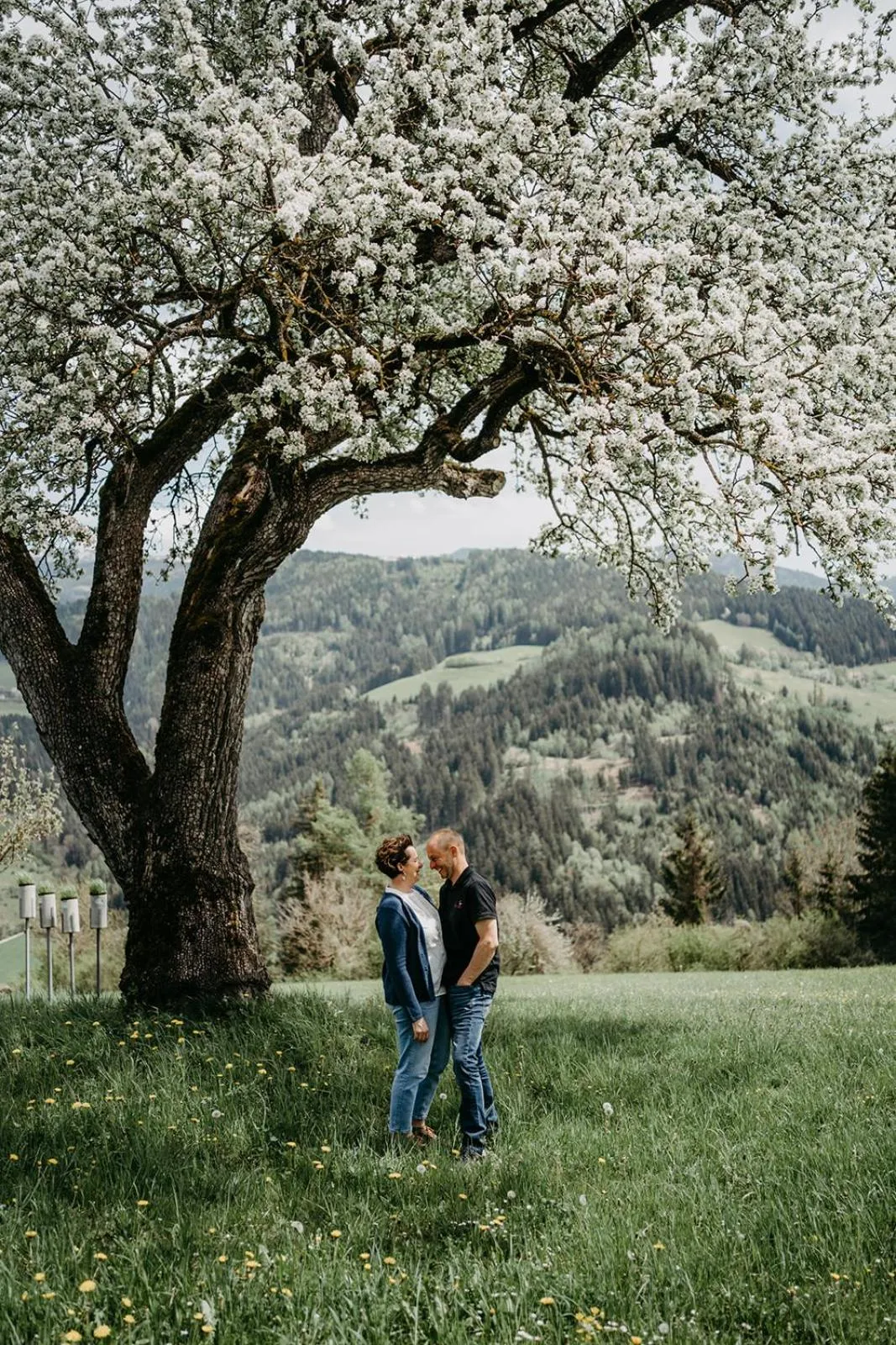 Natural landscape in Zum Dorfschmied