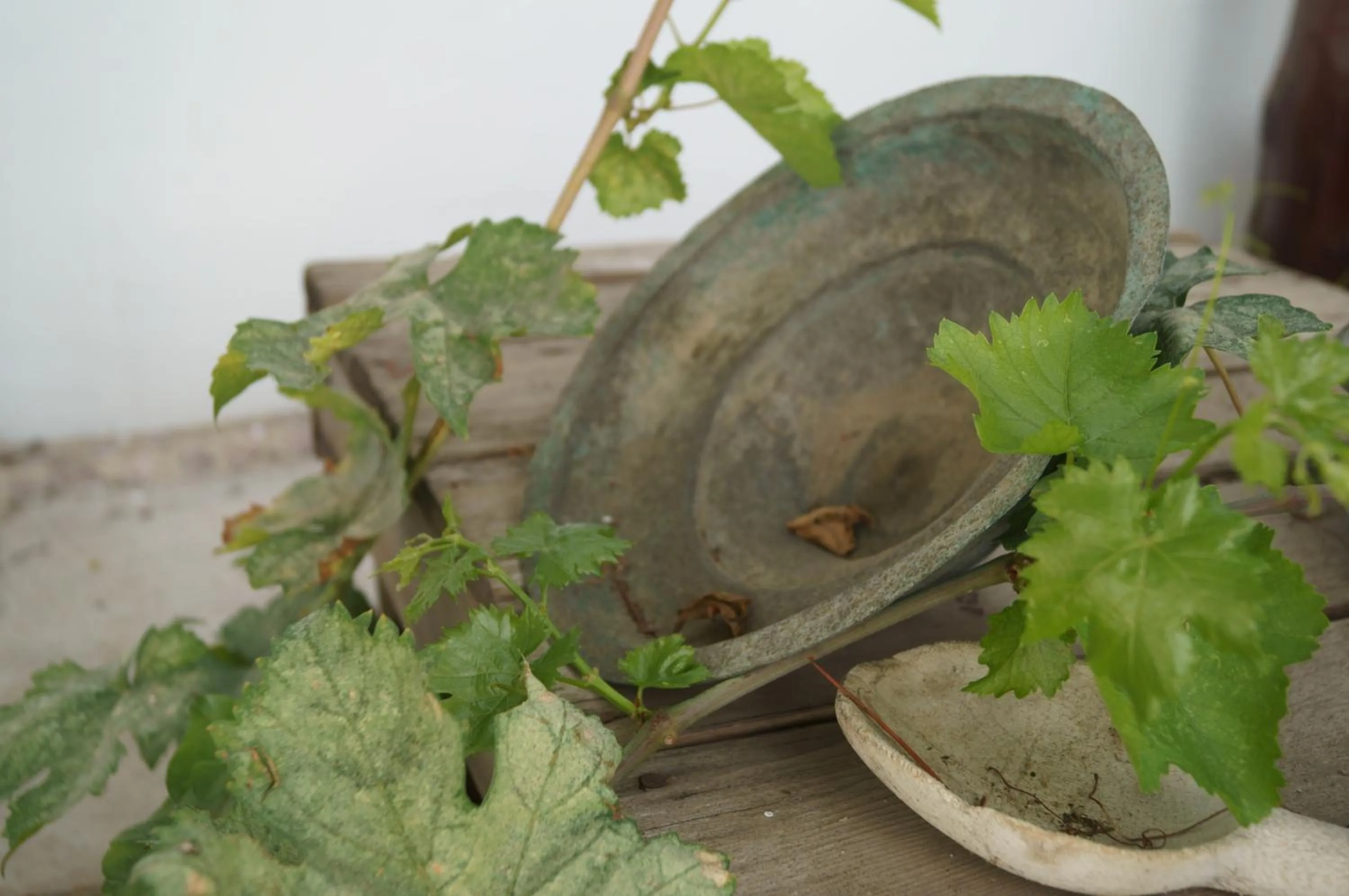 Decorative detail in Gul Hanim House Boutique Hotel