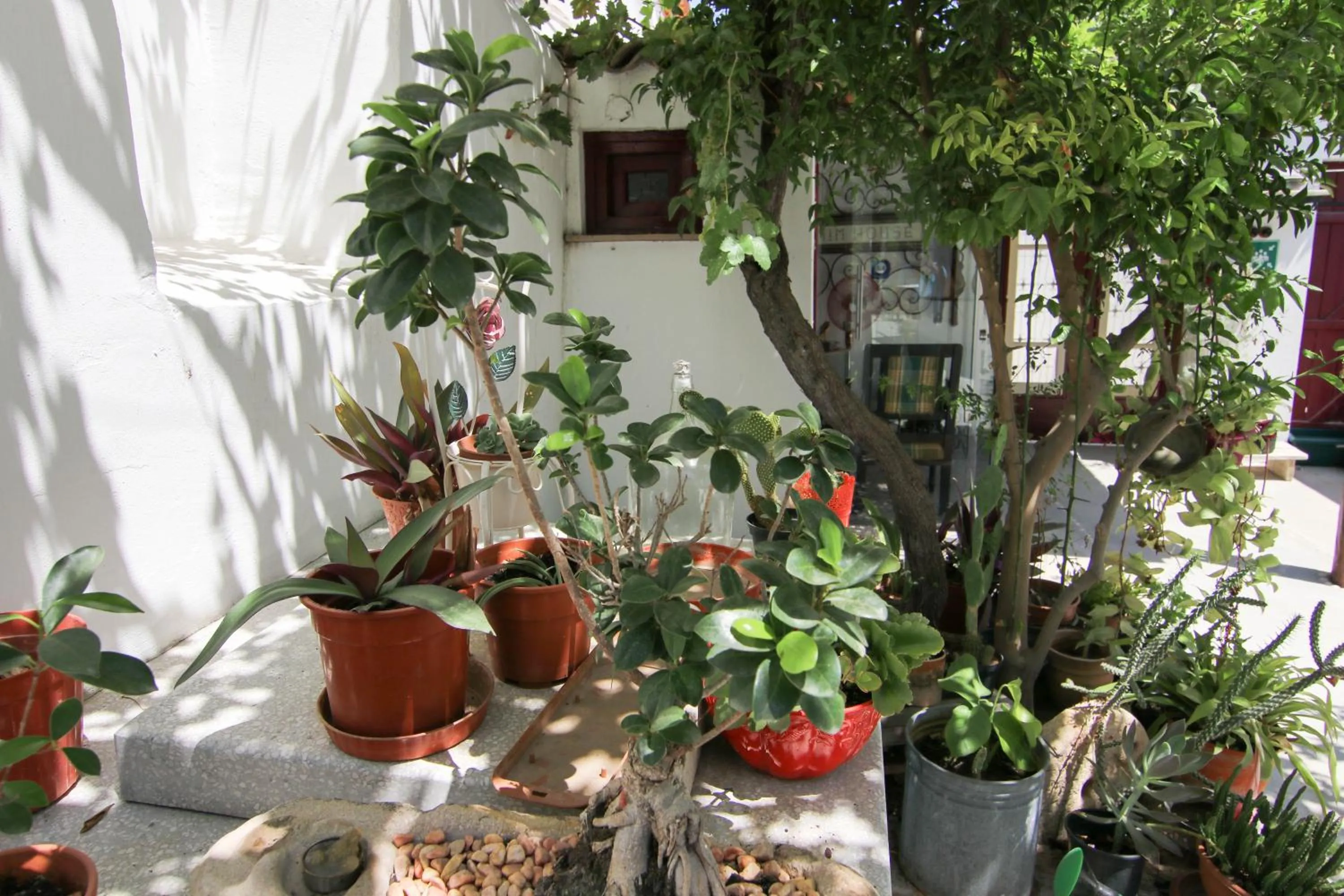 Garden in Gul Hanim House Boutique Hotel
