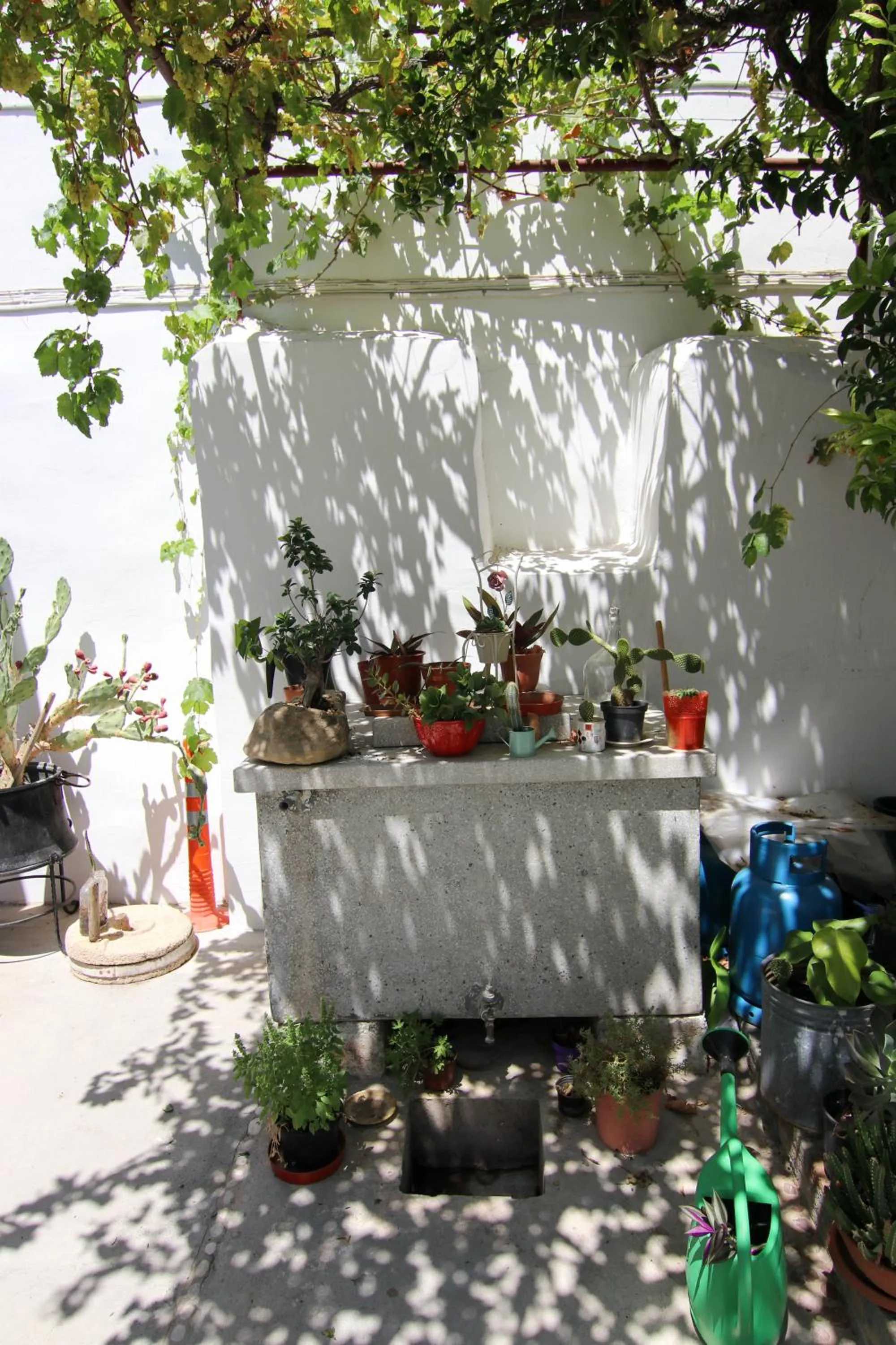 Garden in Gul Hanim House Boutique Hotel