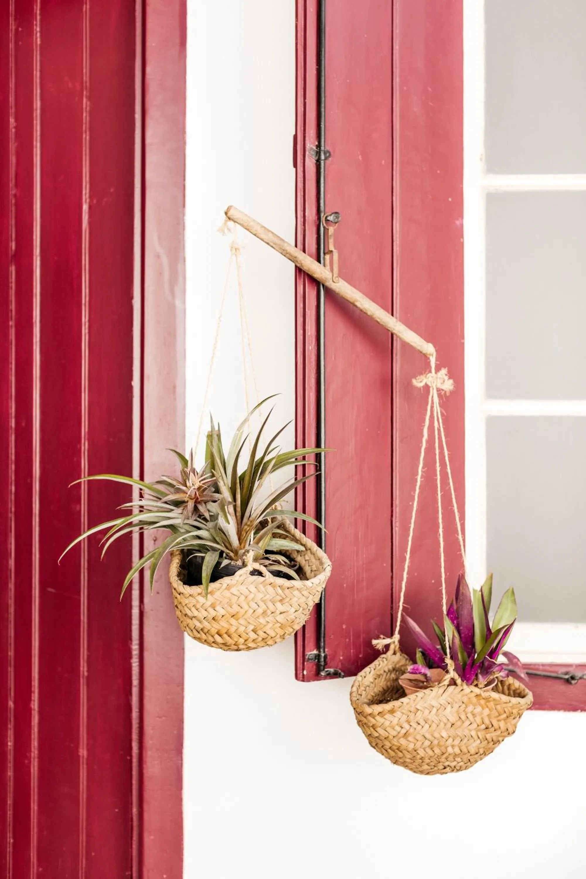 Garden in Gul Hanim House Boutique Hotel