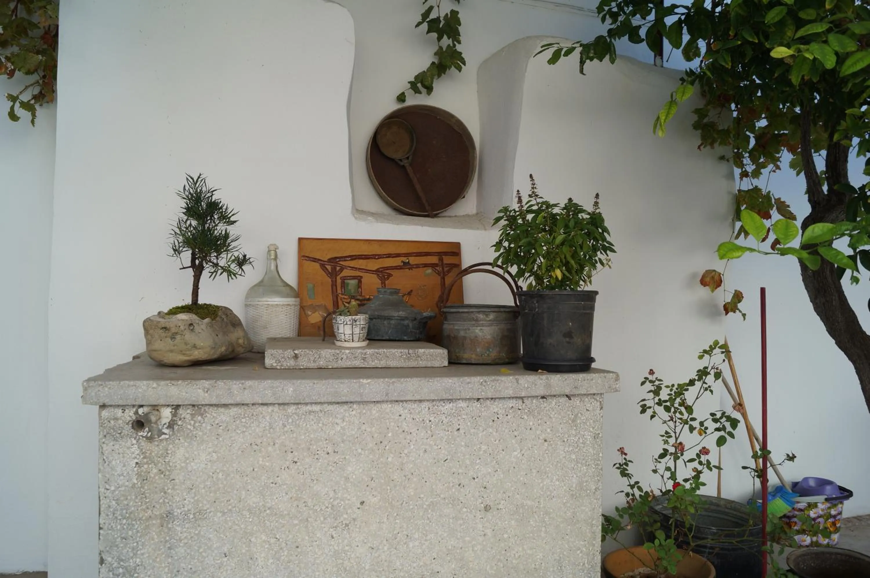 Garden in Gul Hanim House Boutique Hotel