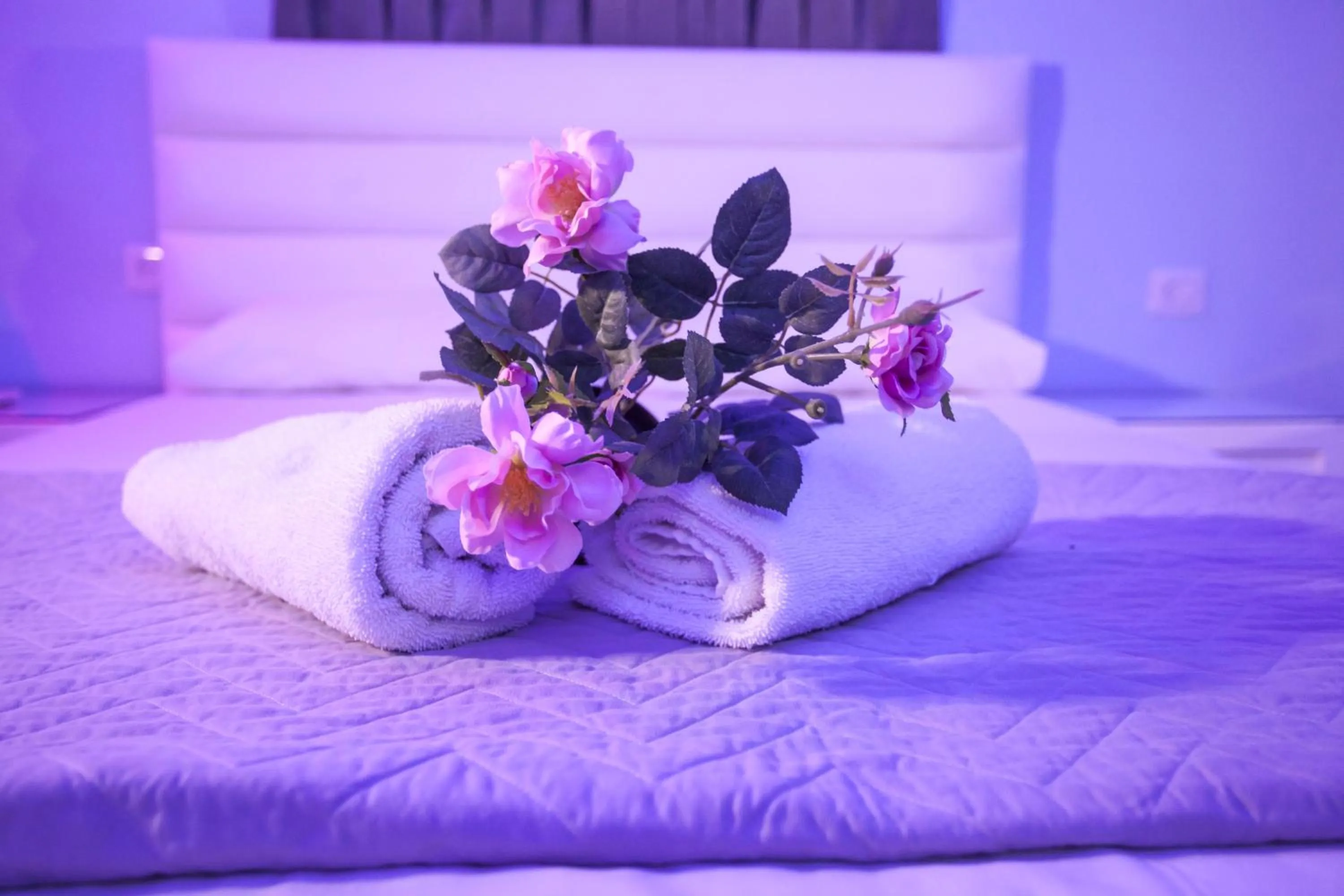 Photo of the whole room, Bed in Spat Beach