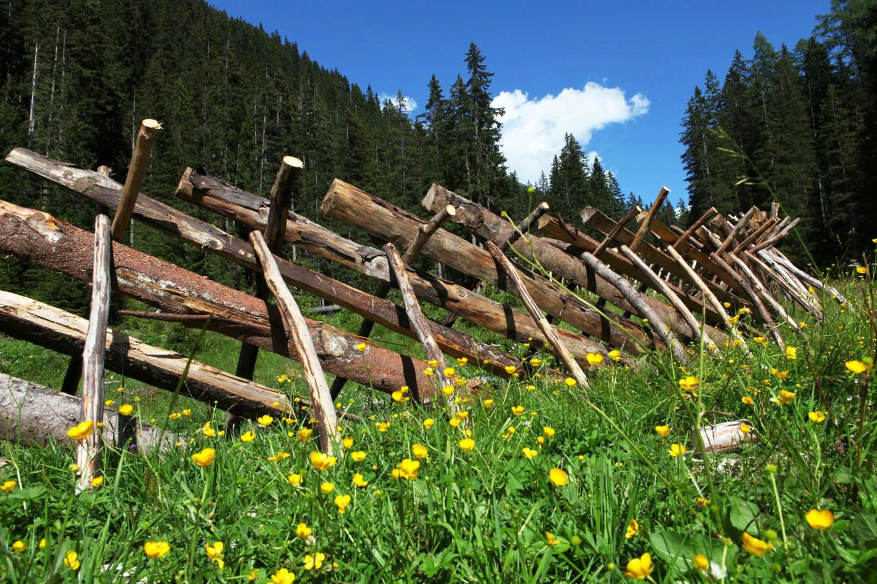 Summer in Gästehaus Meusburger