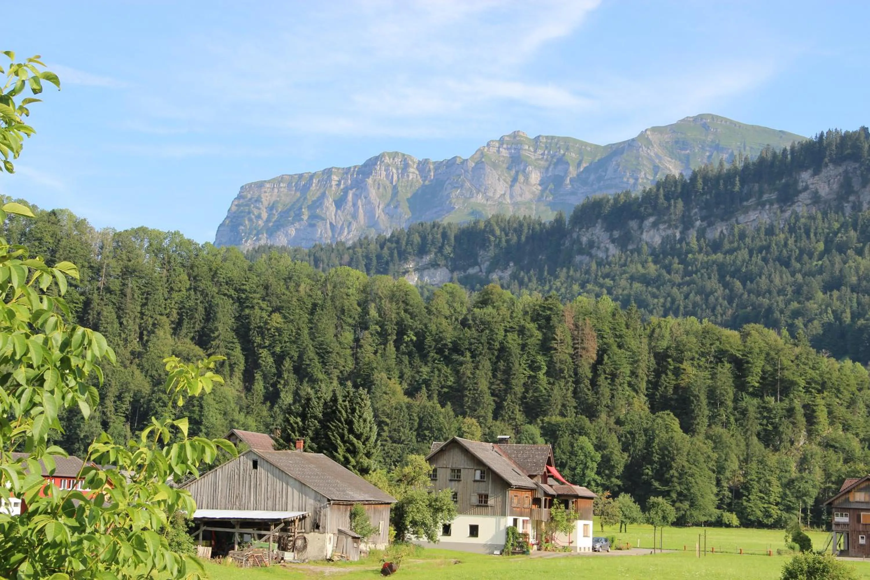 Natural landscape in Gästehaus Meusburger