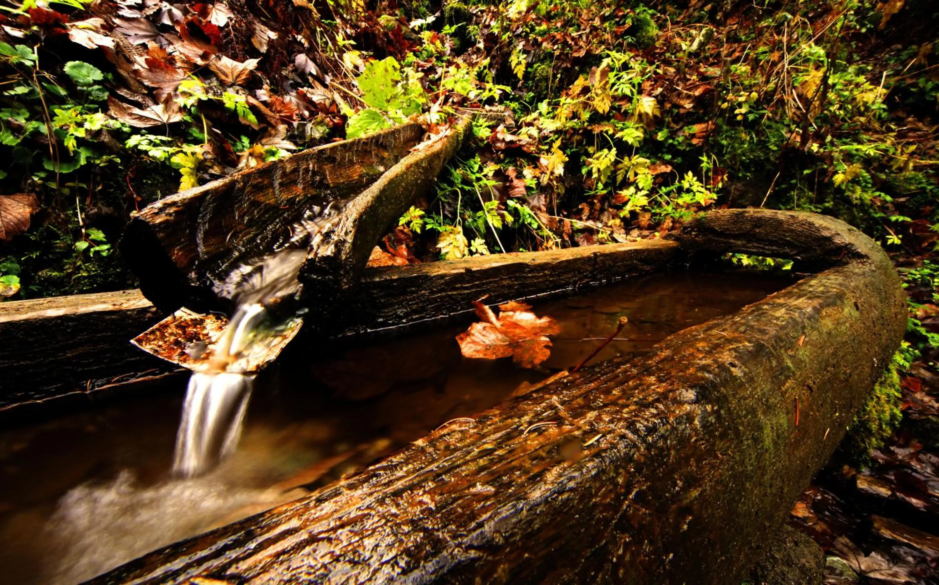 Autumn in Gästehaus Meusburger