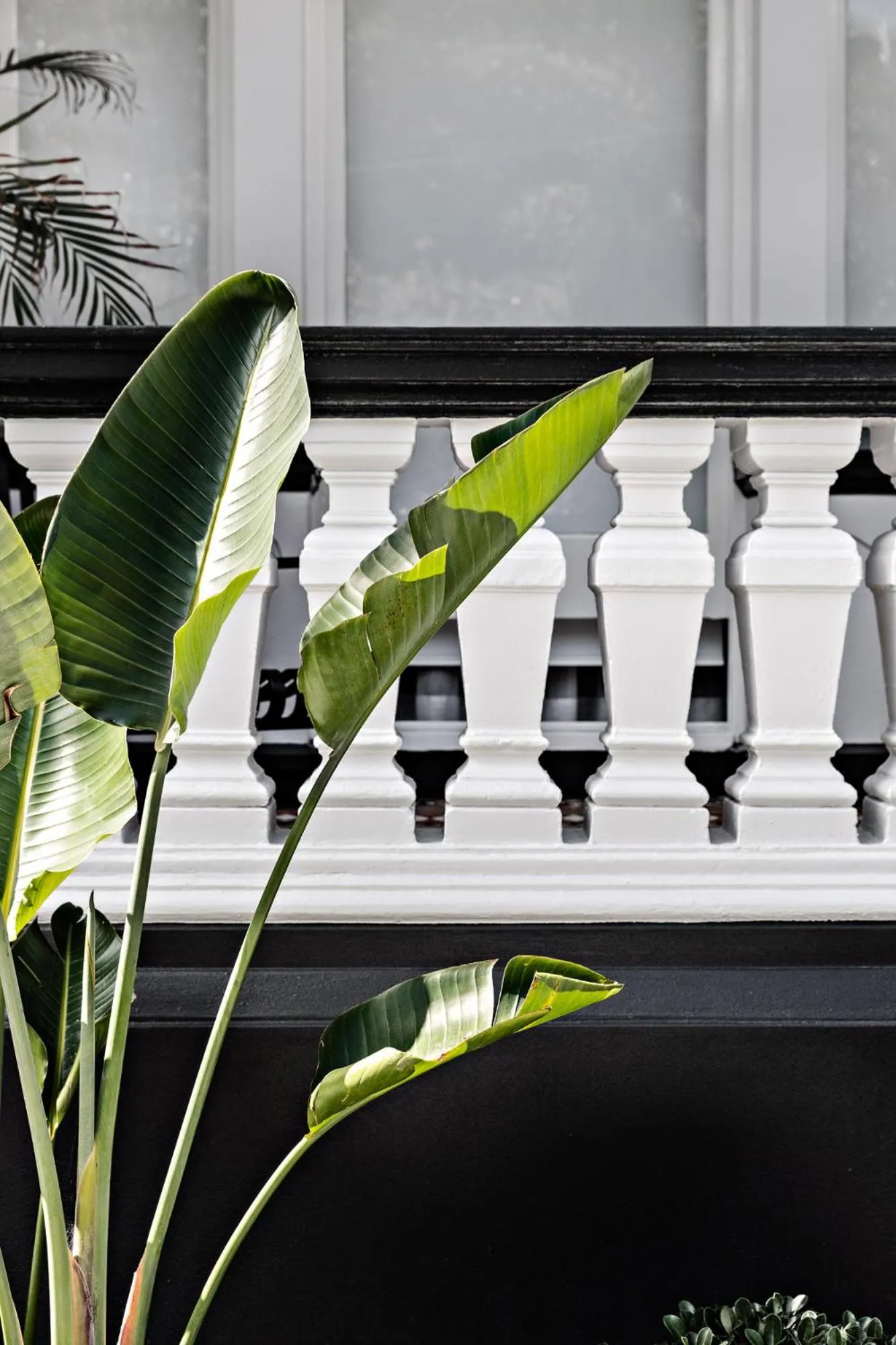 Patio in St Marks Randwick