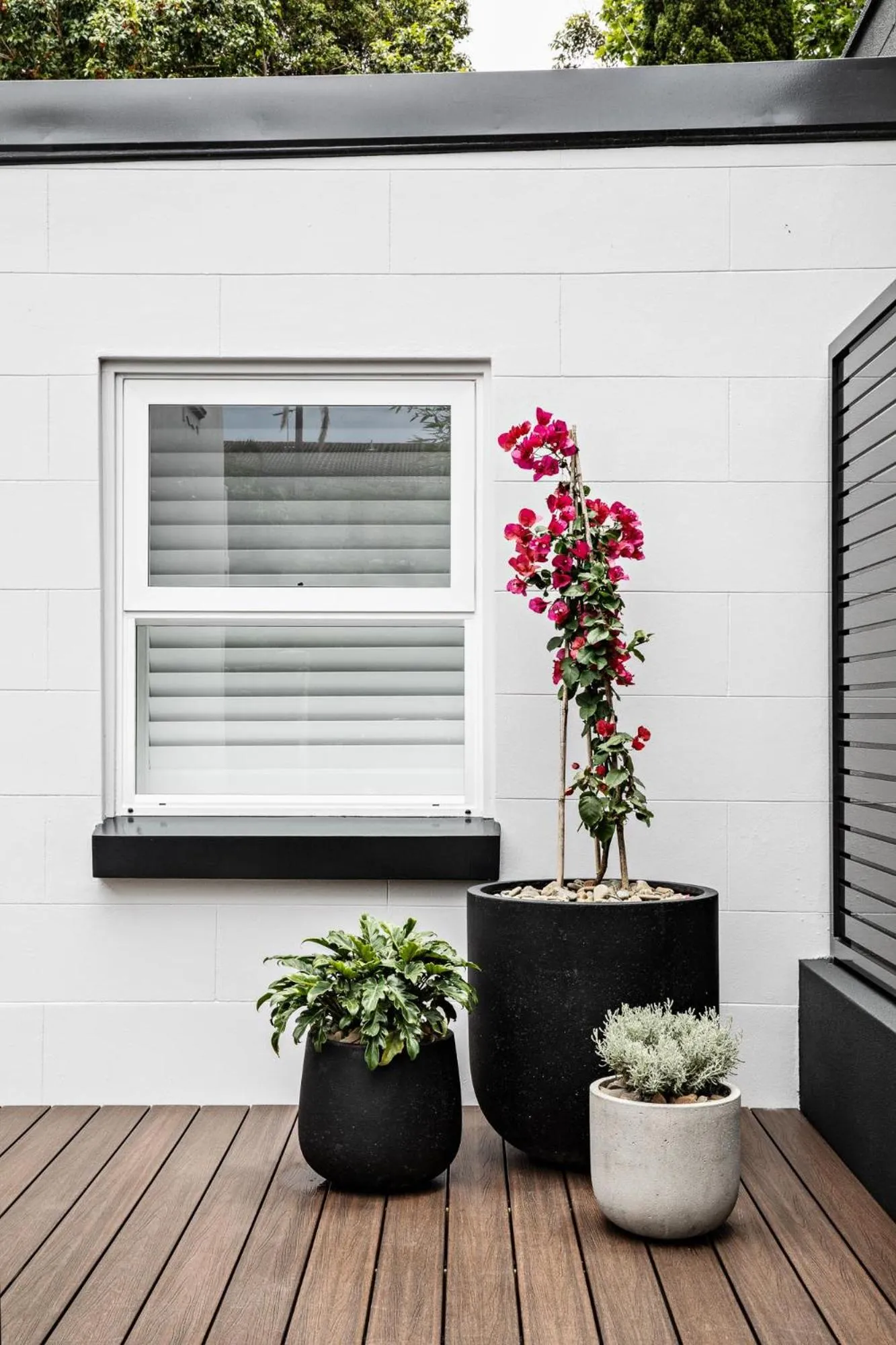 Patio in St Marks Randwick