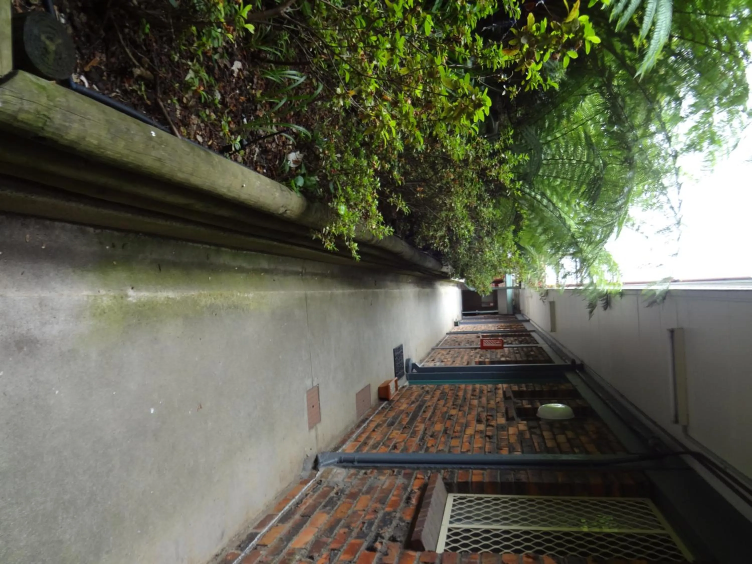 Garden in Adina Place Motel Apartments