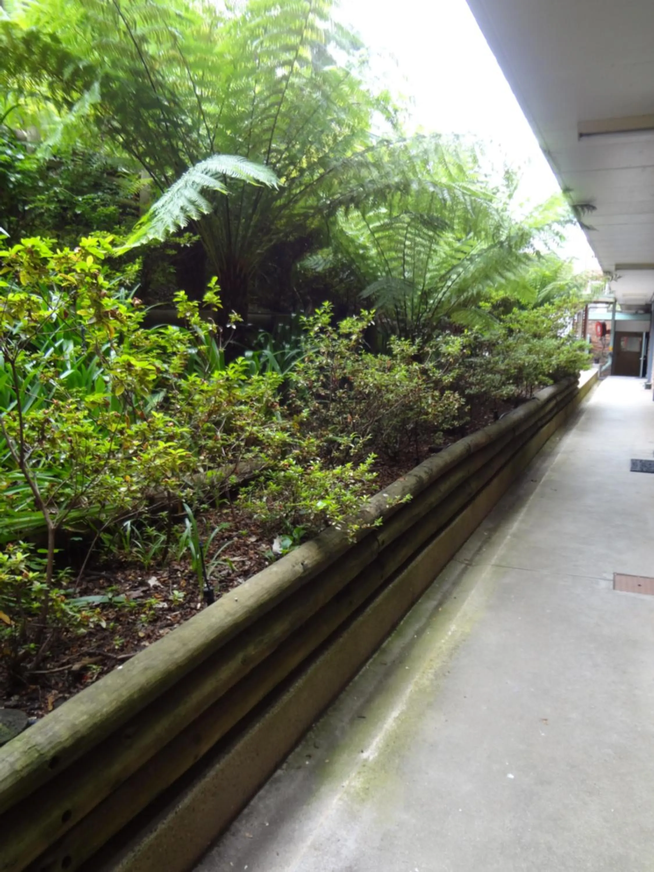 Garden in Adina Place Motel Apartments