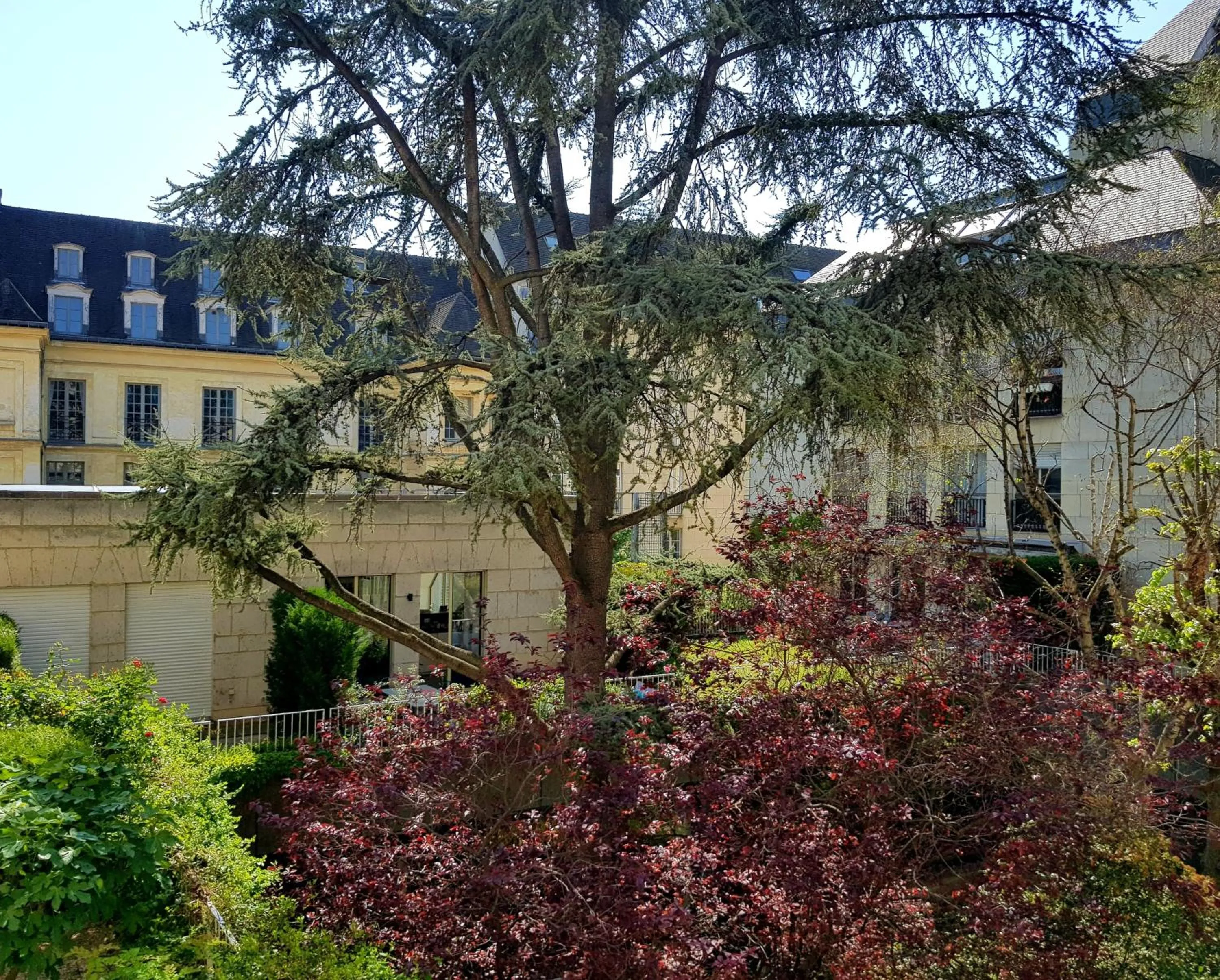 Garden view in Assia & Nathalie - Luxury B&B MARAIS