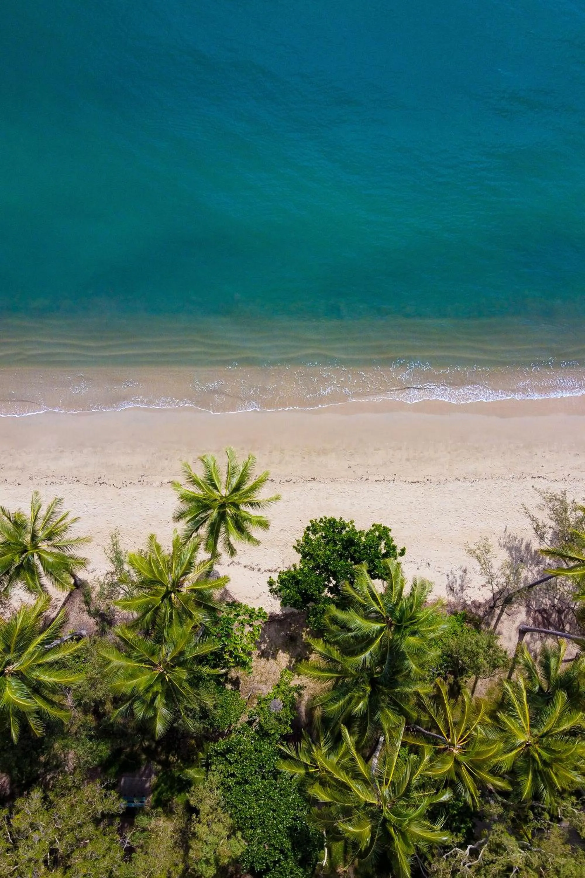 Beach in Clifton Sands Holiday Units