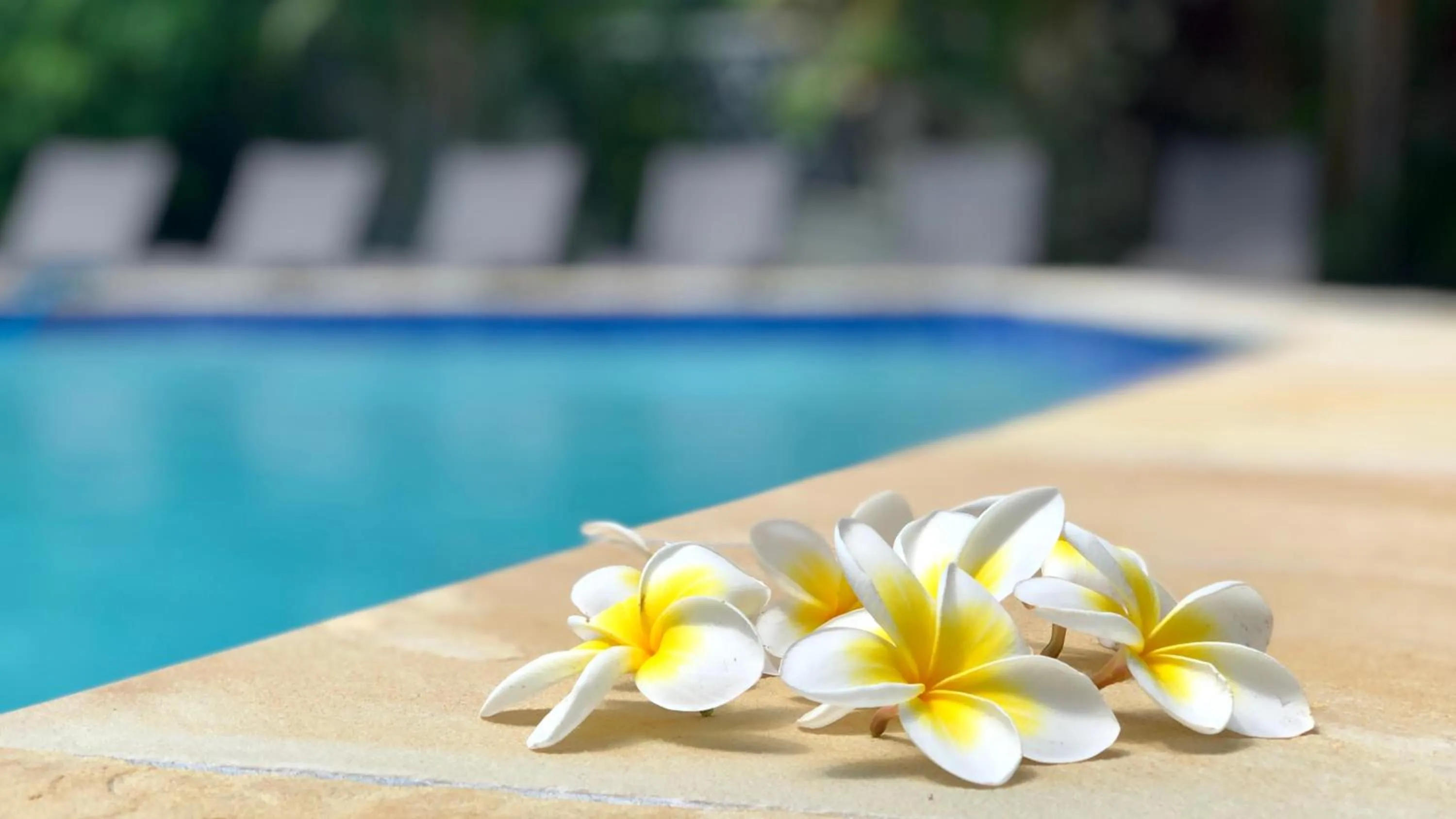 Swimming pool in Hi Ho Beach Apartments on Broadbeach