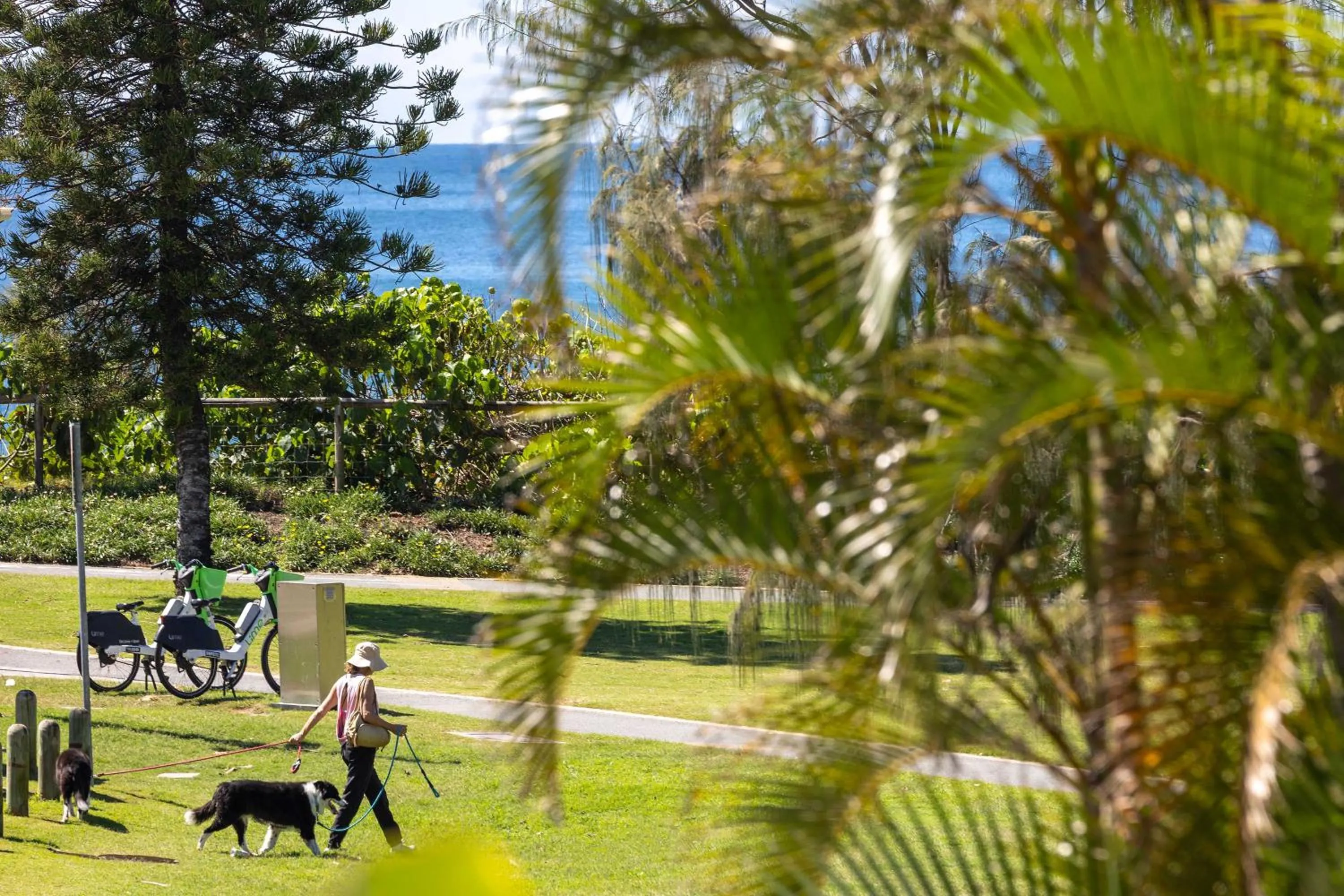 Day in Hi Ho Beach Apartments on Broadbeach
