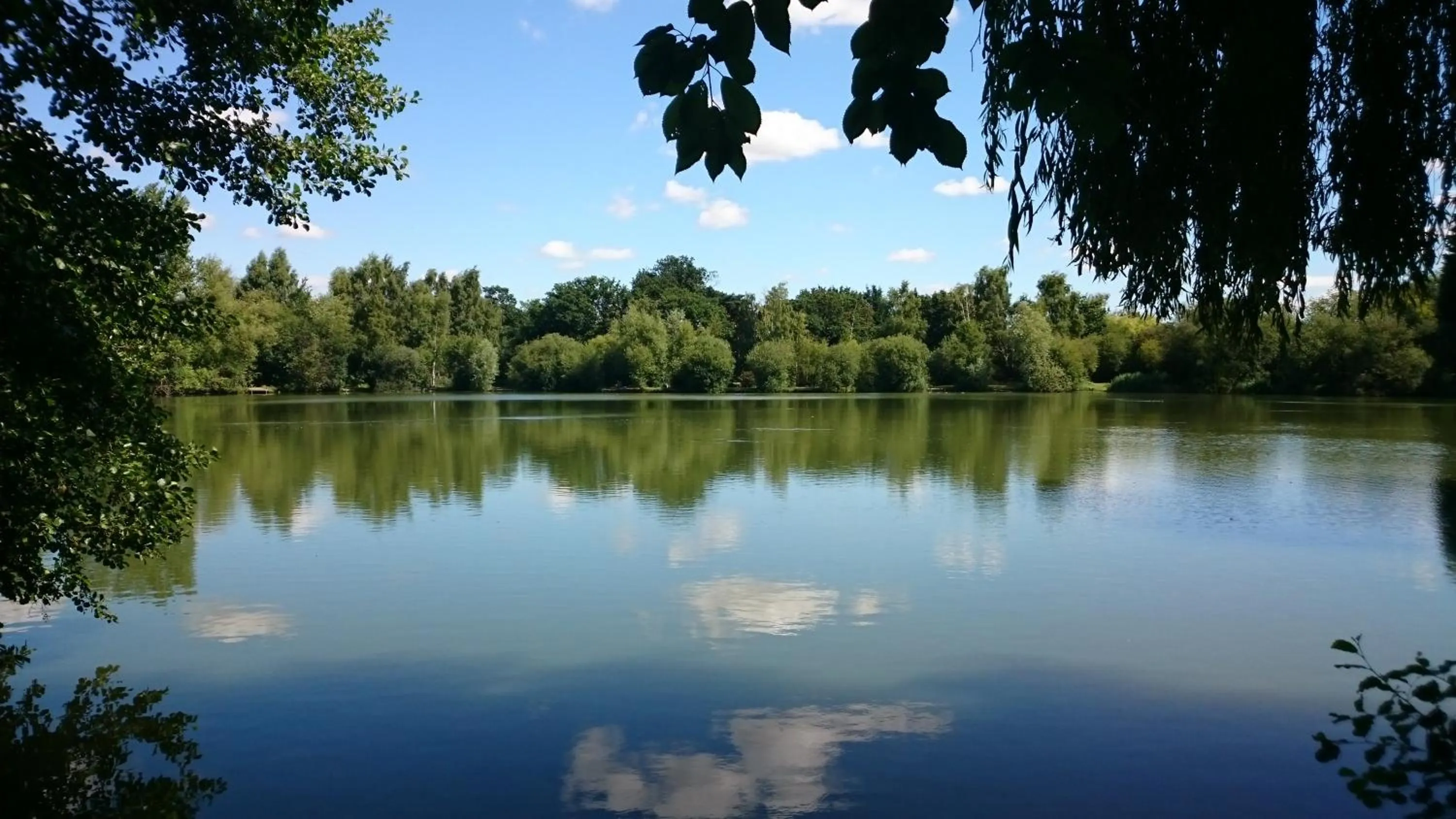 Fishing in Woodland Waters