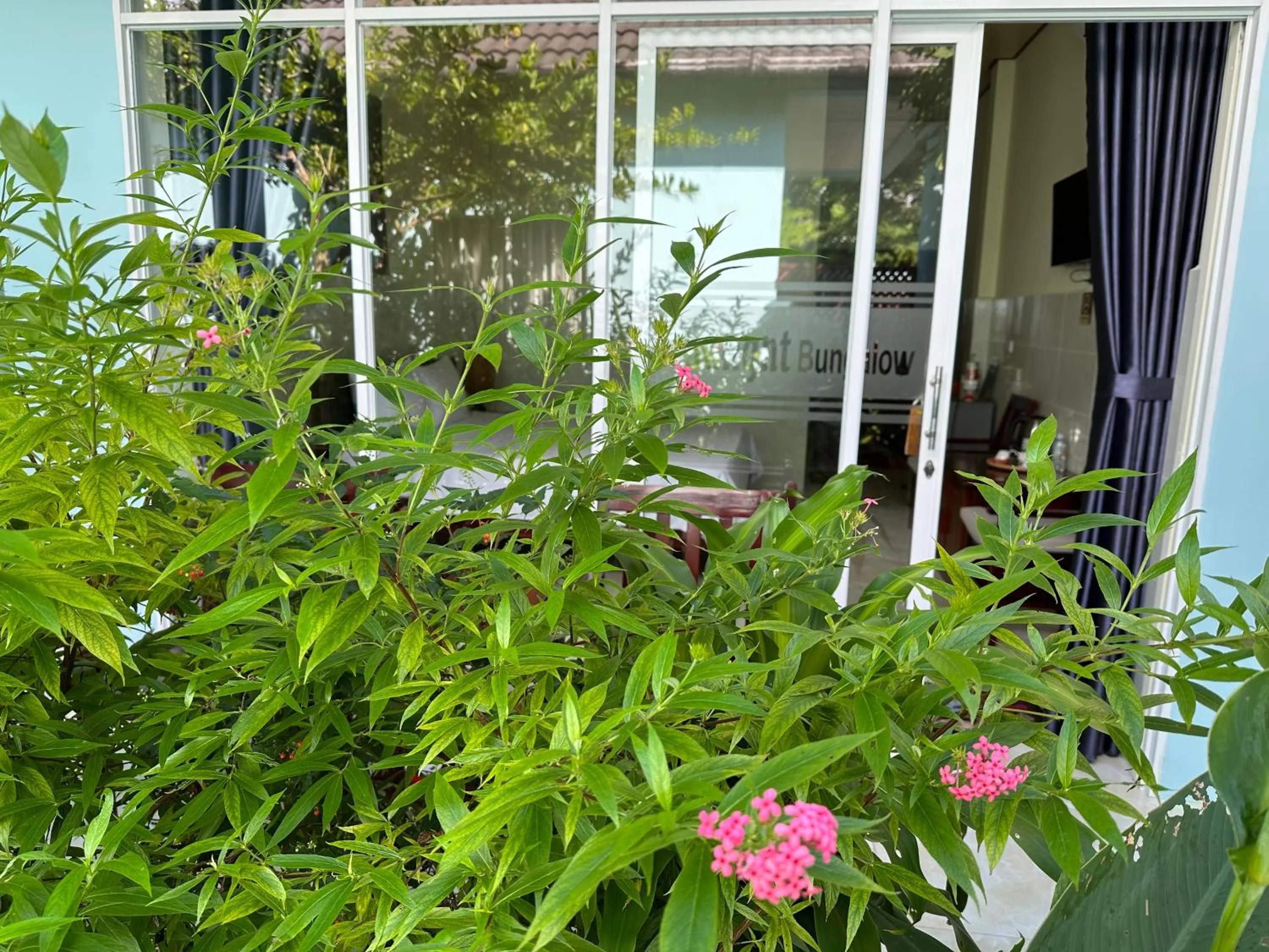Garden view in Sunlight Bungalow
