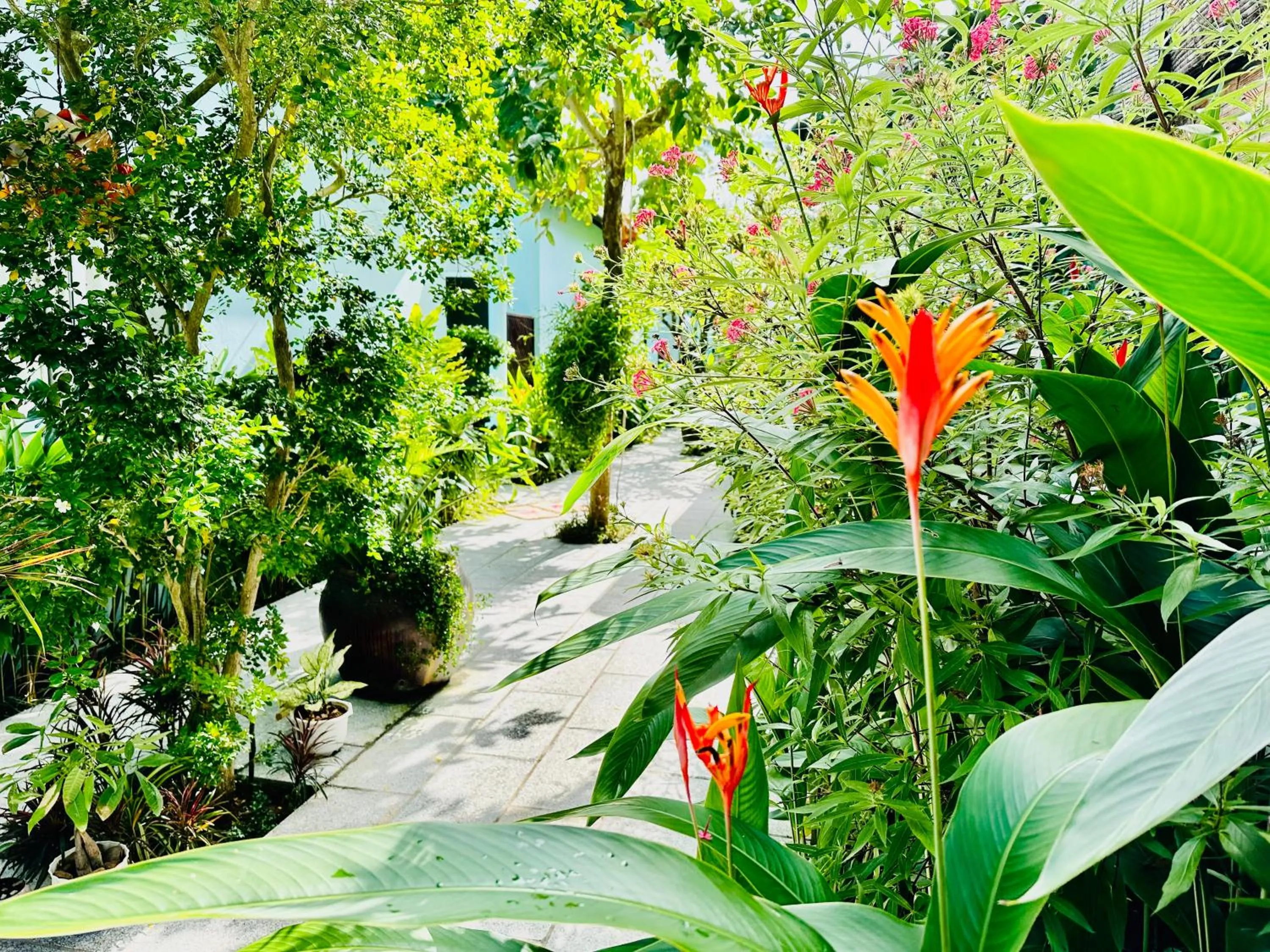 Garden in Sunlight Bungalow