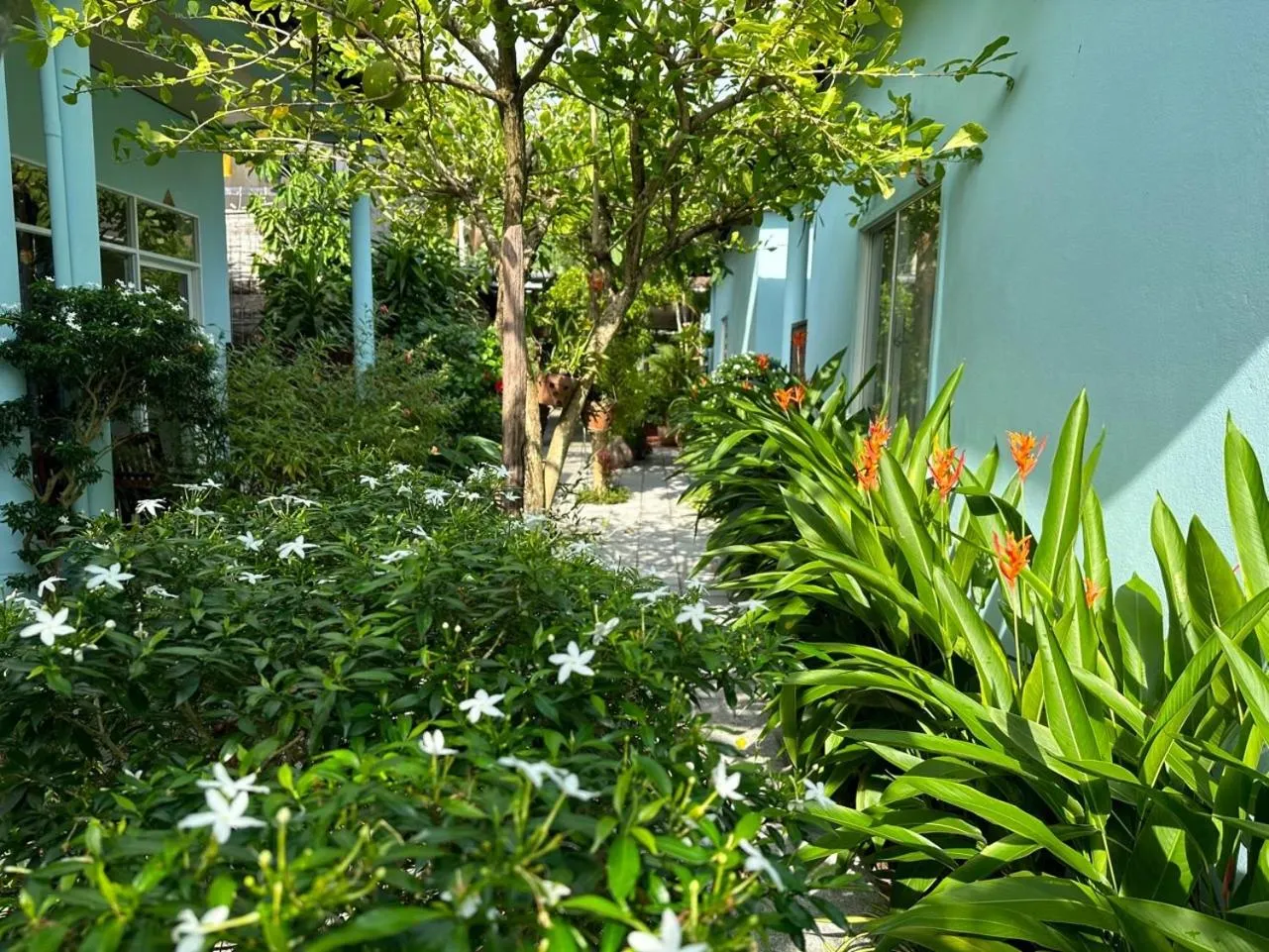 Garden in Sunlight Bungalow