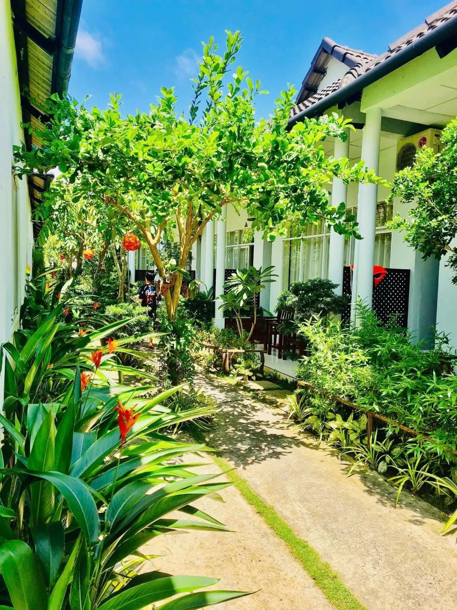 Garden in Sunlight Bungalow