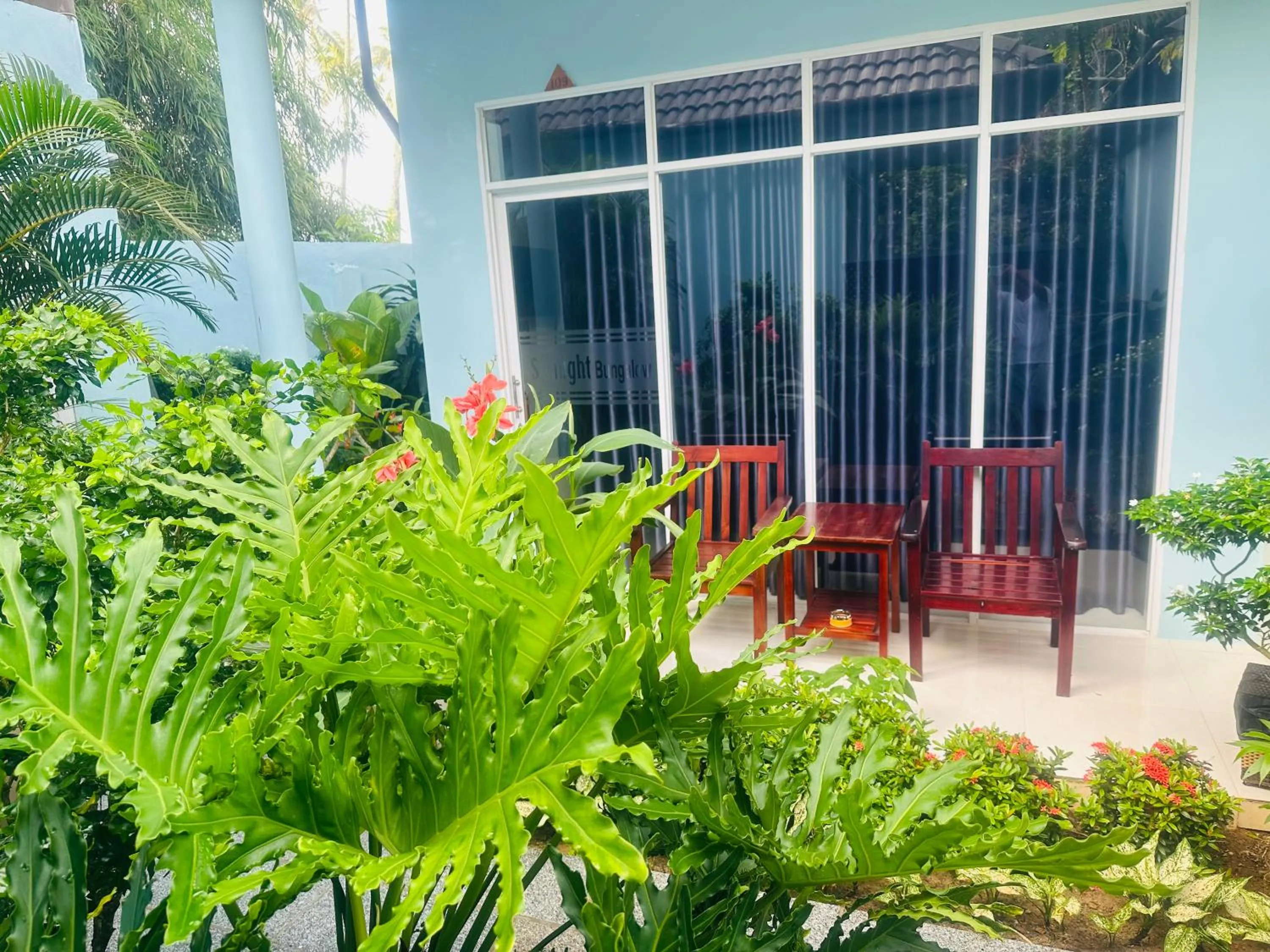 Garden view in Sunlight Bungalow