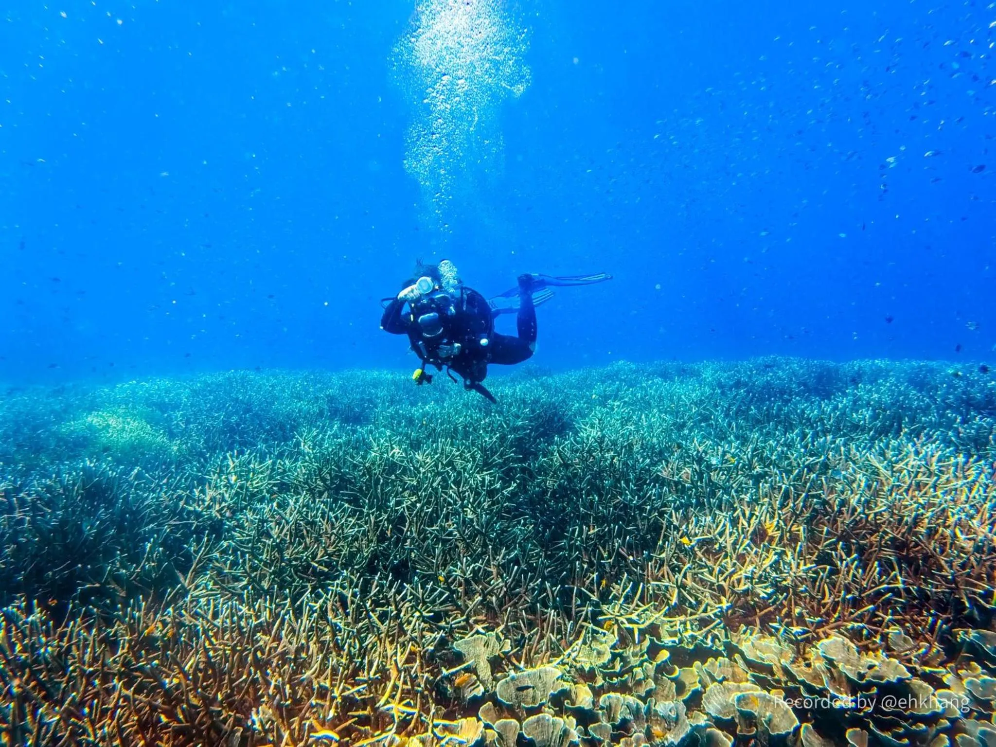 Diving in Gio Bien 2 Hotel by THG