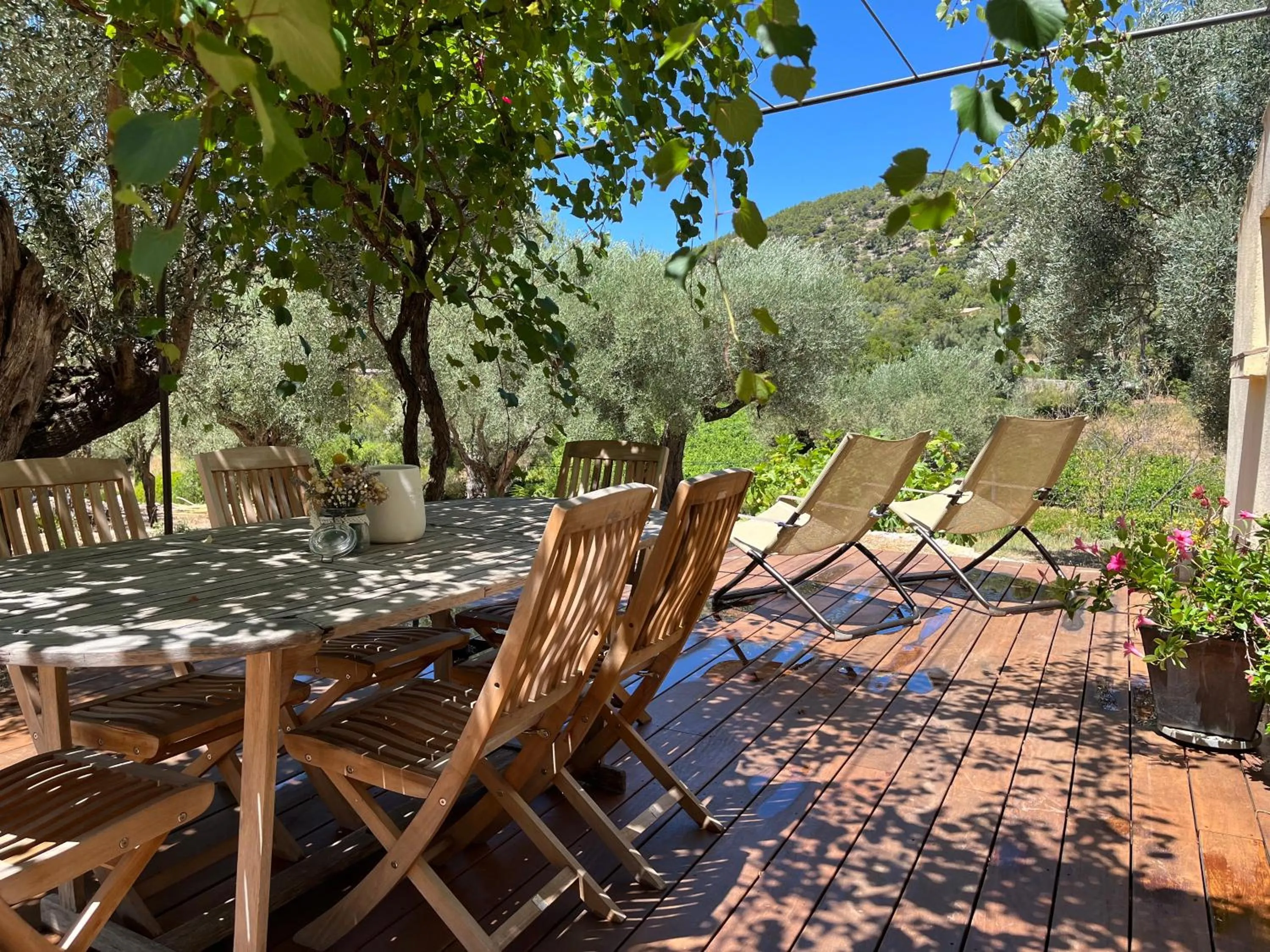 Patio in Bastide Sainte Trinide