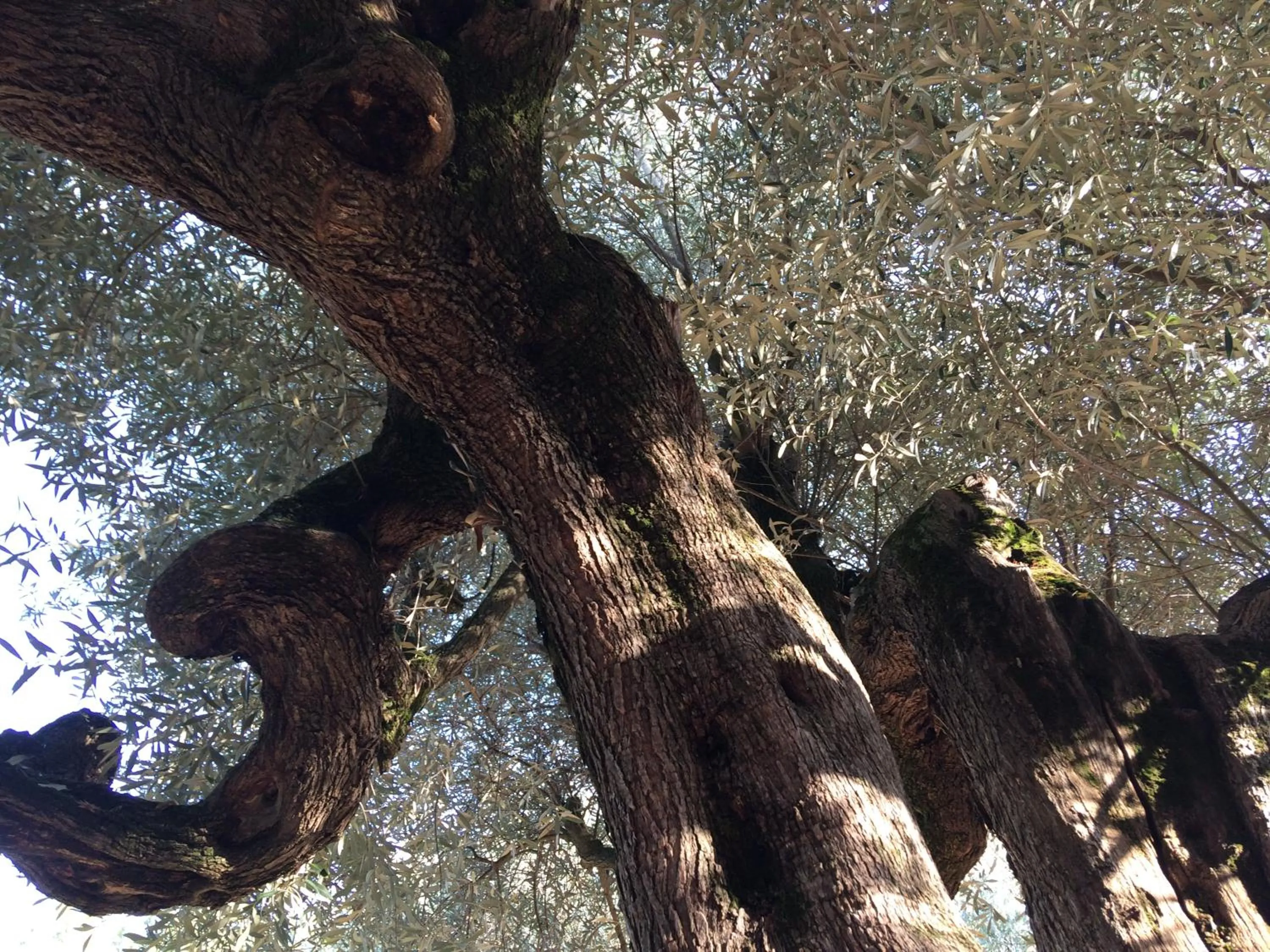 Natural landscape in Bastide Sainte Trinide