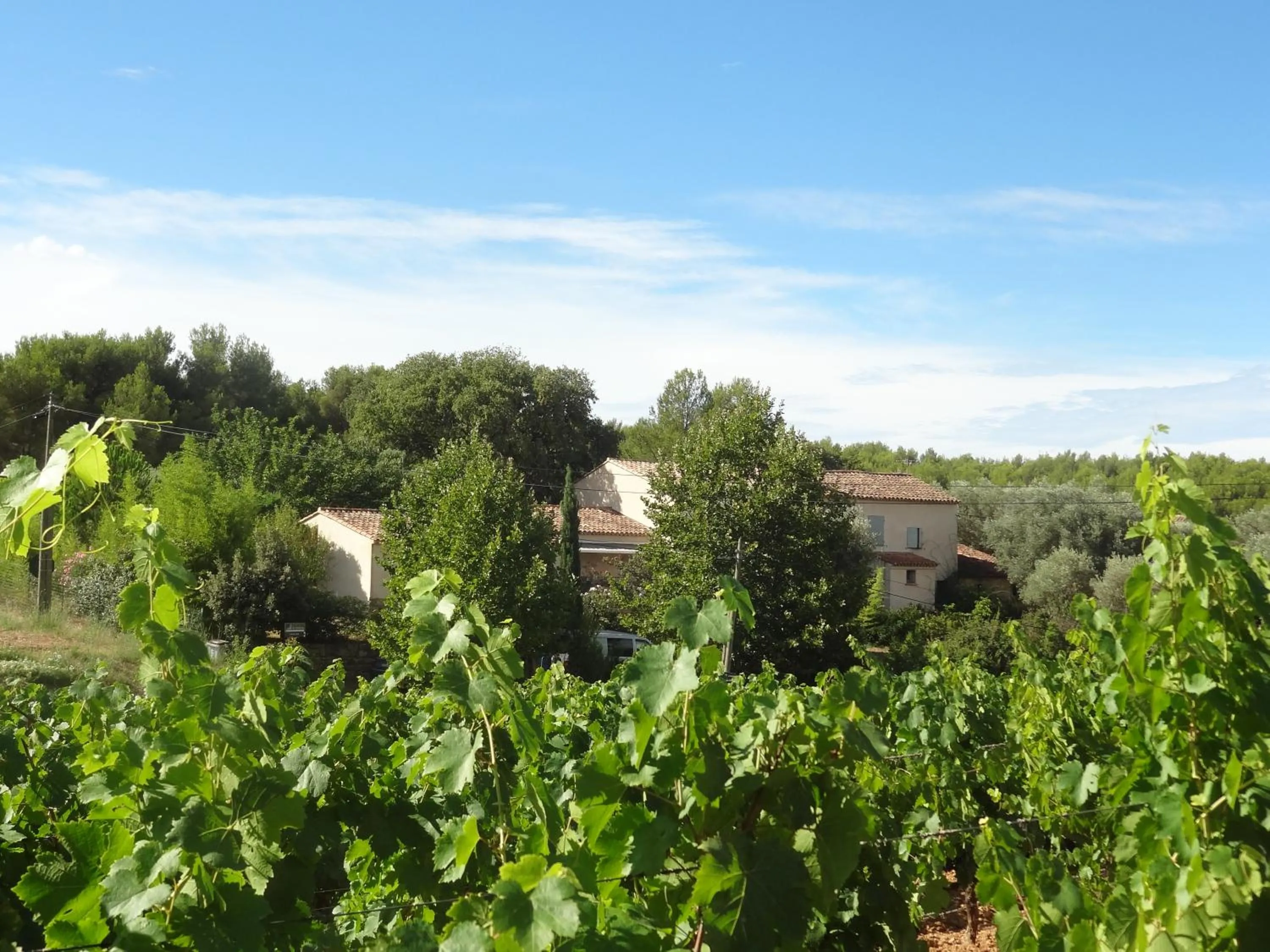 Property building in Bastide Sainte Trinide