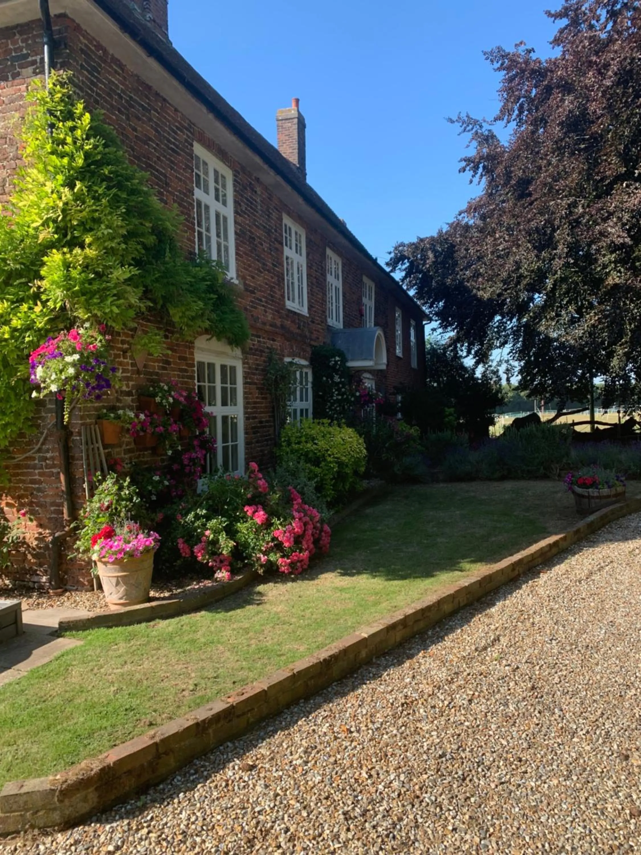 Property building in Molland Manor House Bed & Breakfast