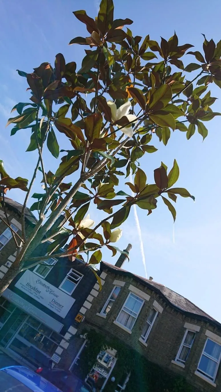 Spring in The Elizabeth House Hotel