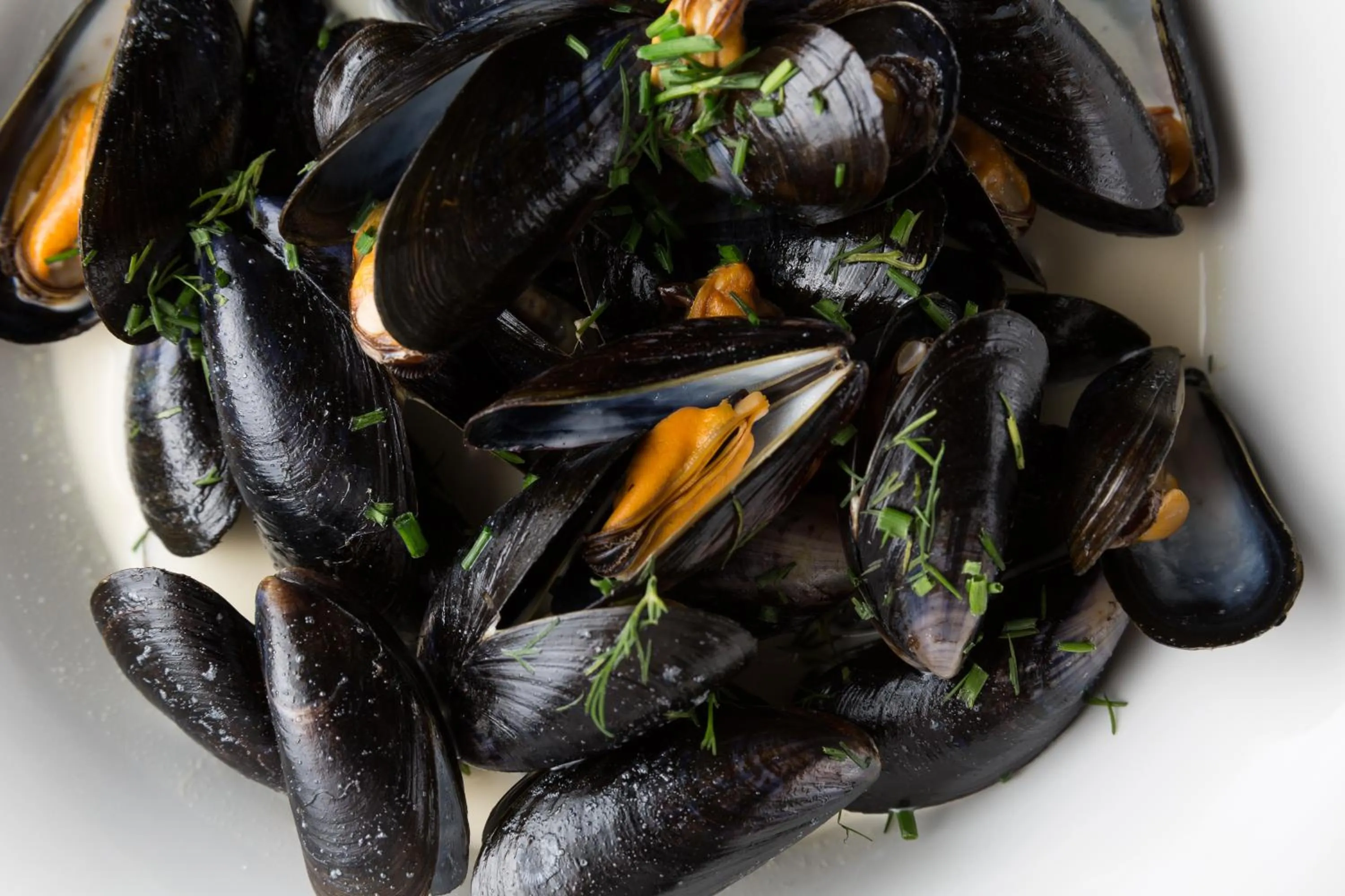 Food close-up in The Lamplighter Dining ~ Rooms