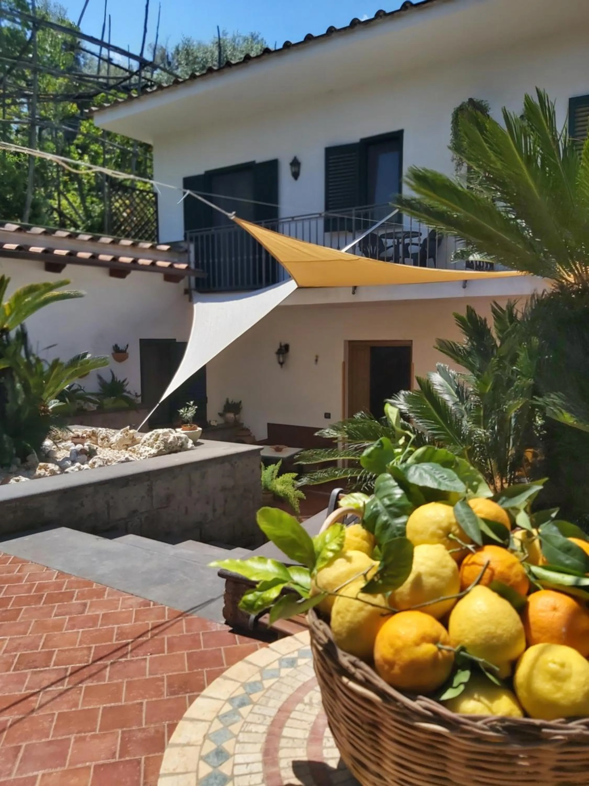 Property building in Sosò