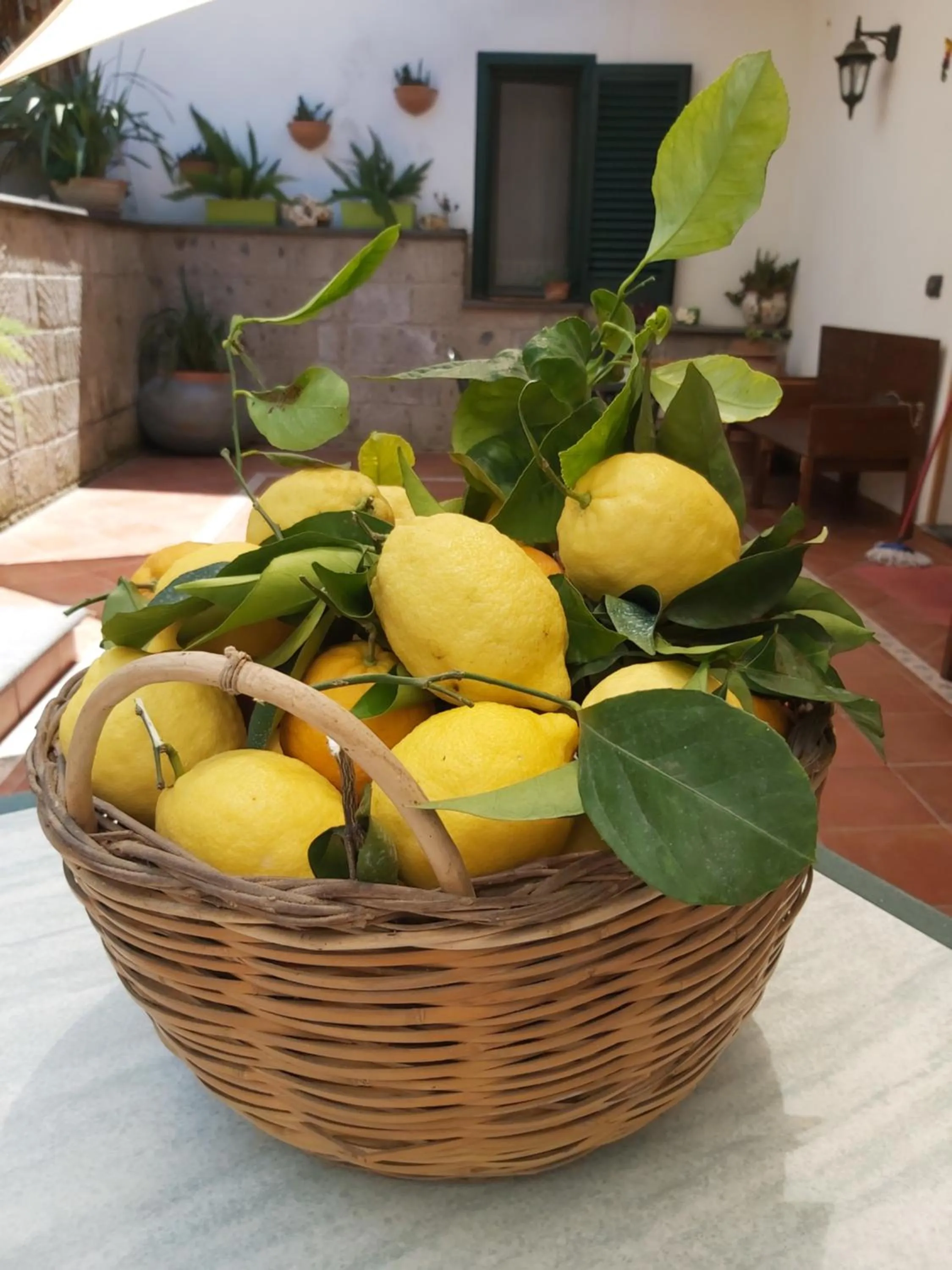 Property building in Sosò