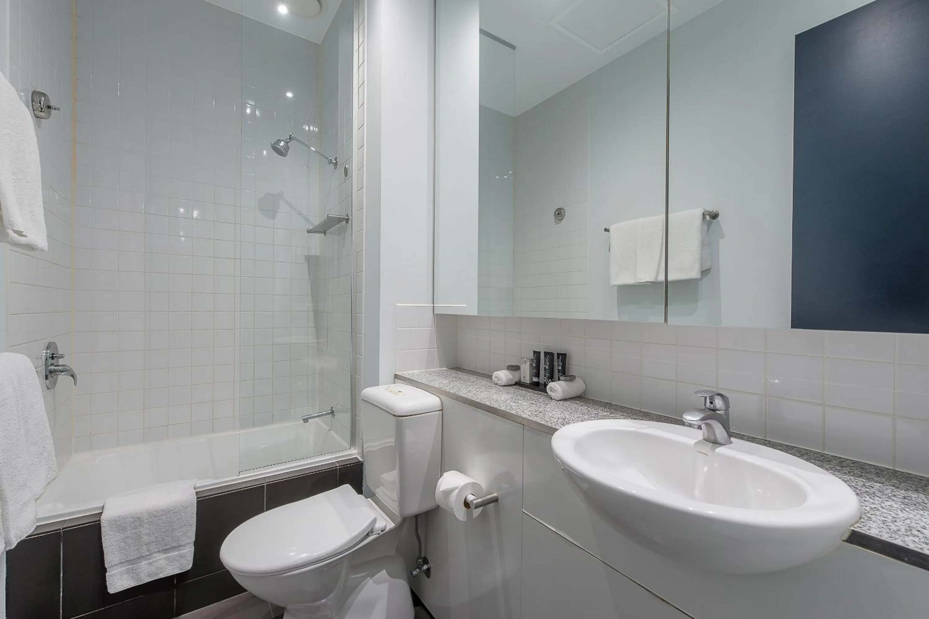 Bathroom in Mantra 100 Exhibition