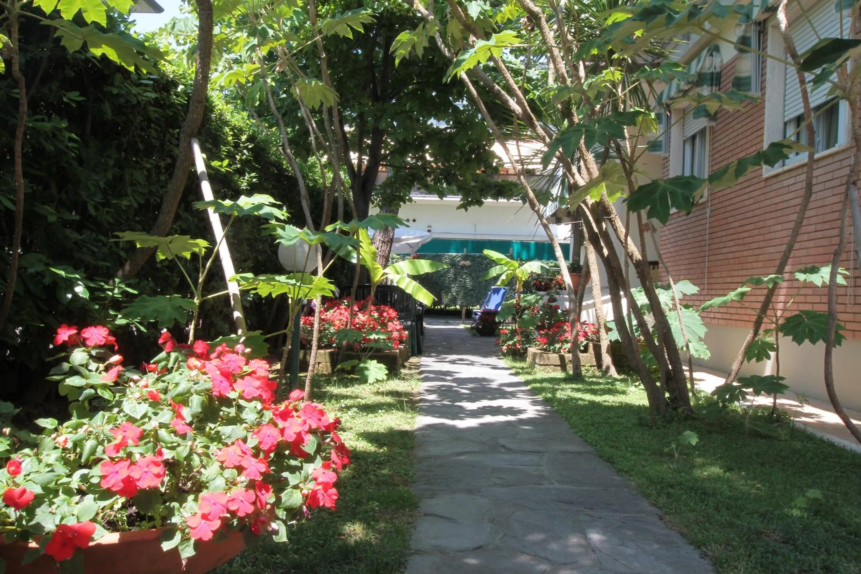 Garden in Hotel Vera